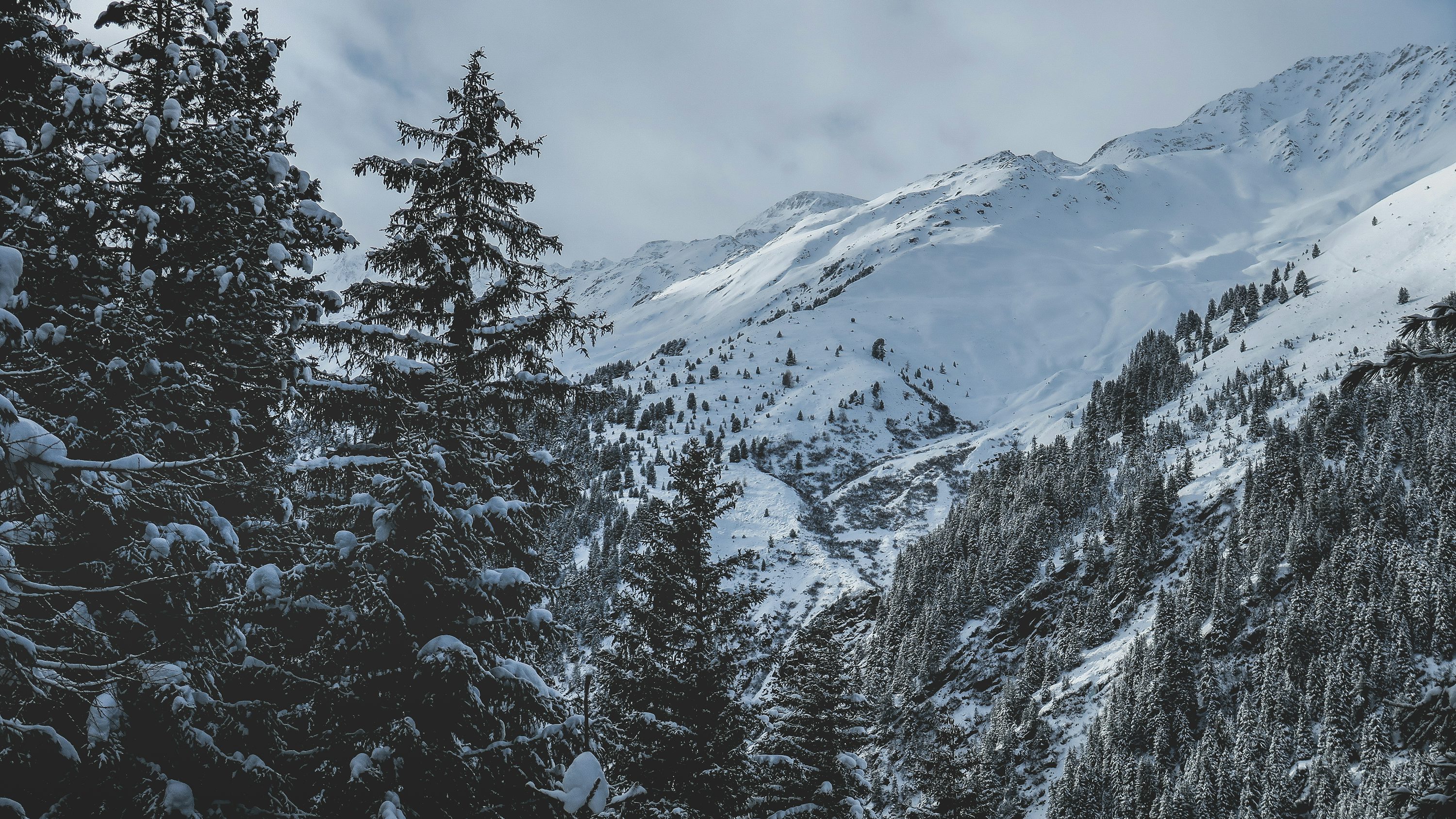 Snow Wallpaper [HD]. Download