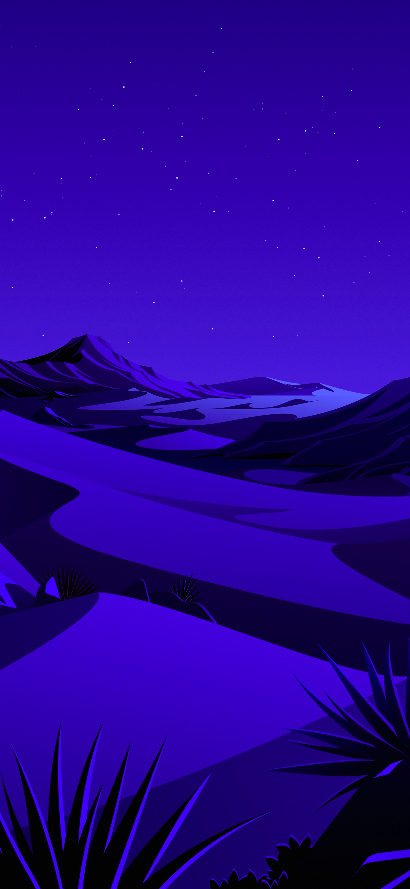 Lake, The Desert Night