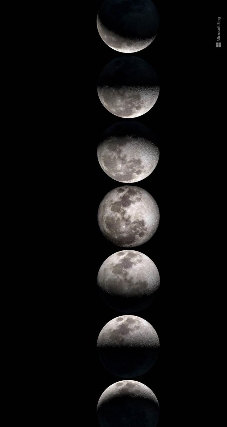 Phases of the Moon