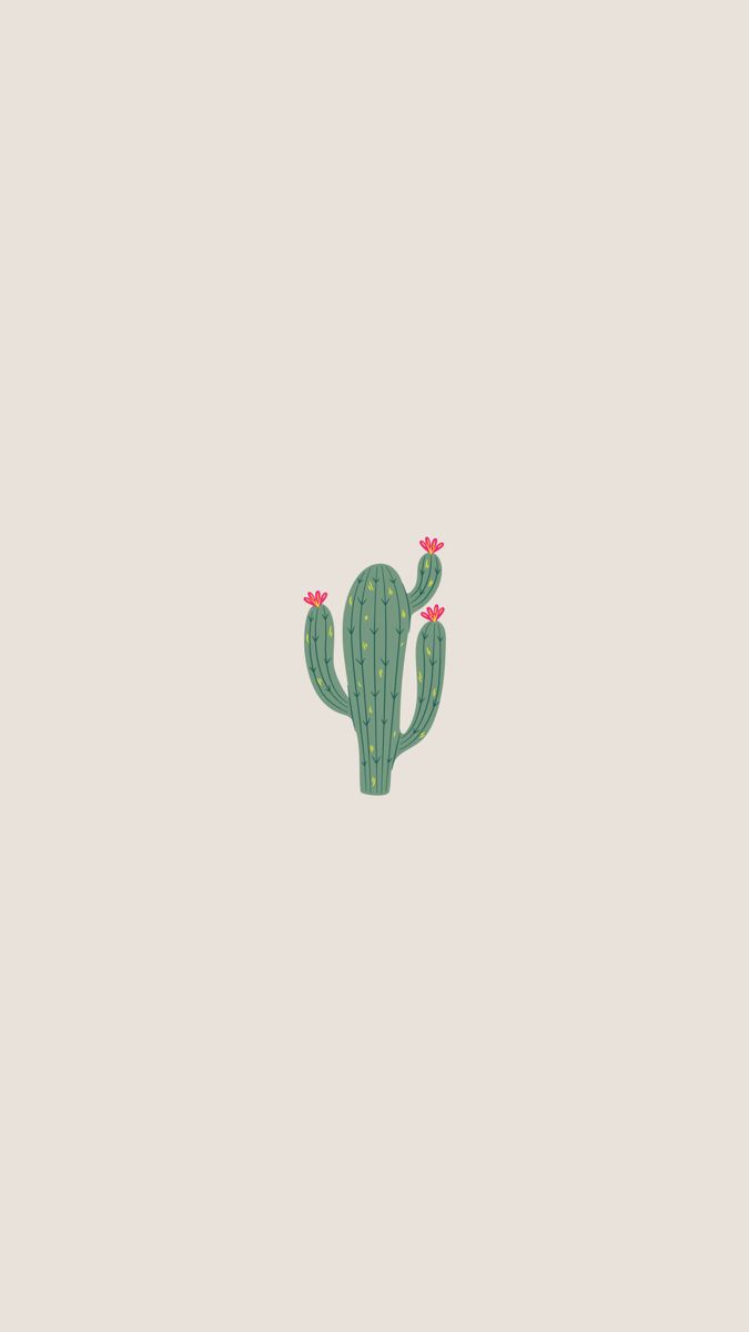 Minimal Cactus wallpaper