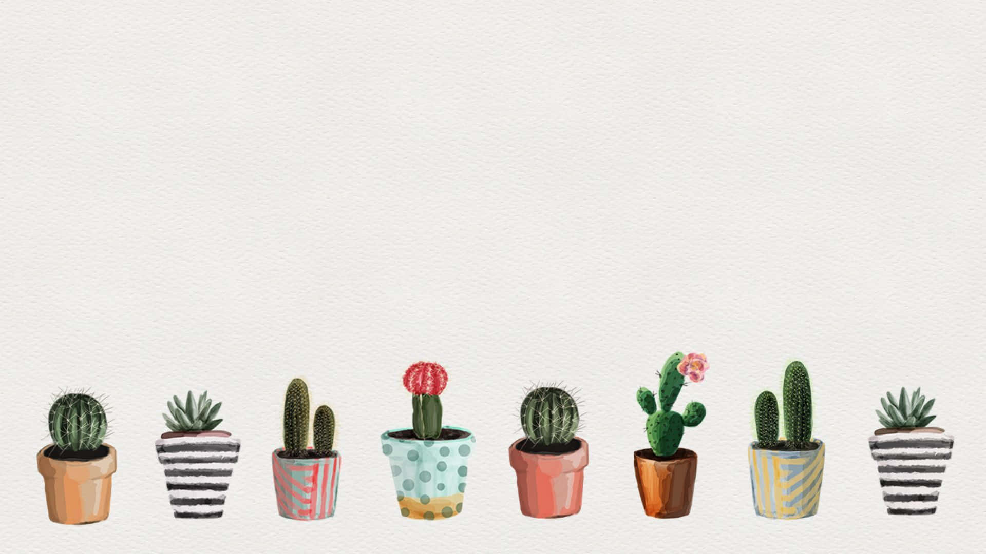 Download Cute Potted Cacti Minimalist