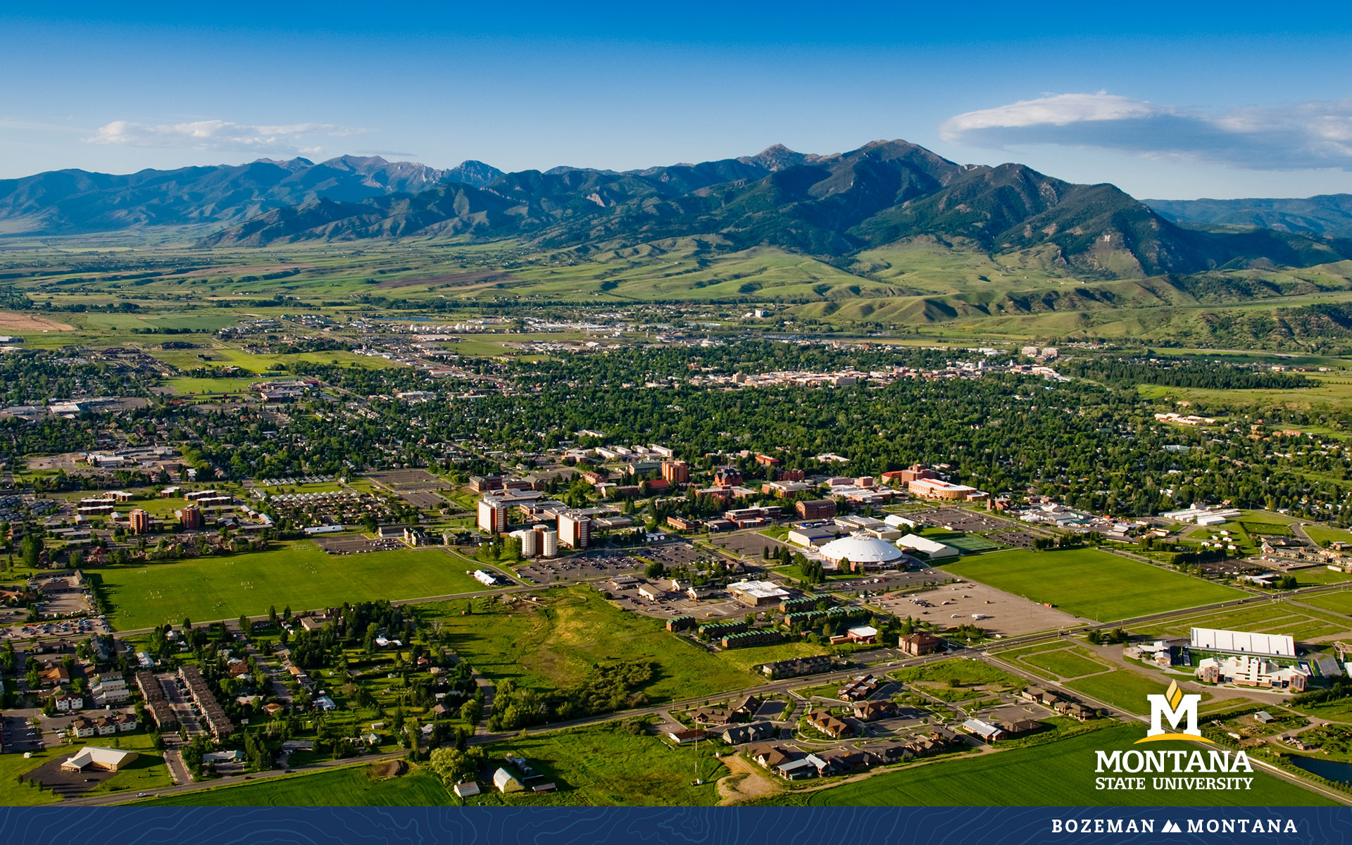 Montana State University