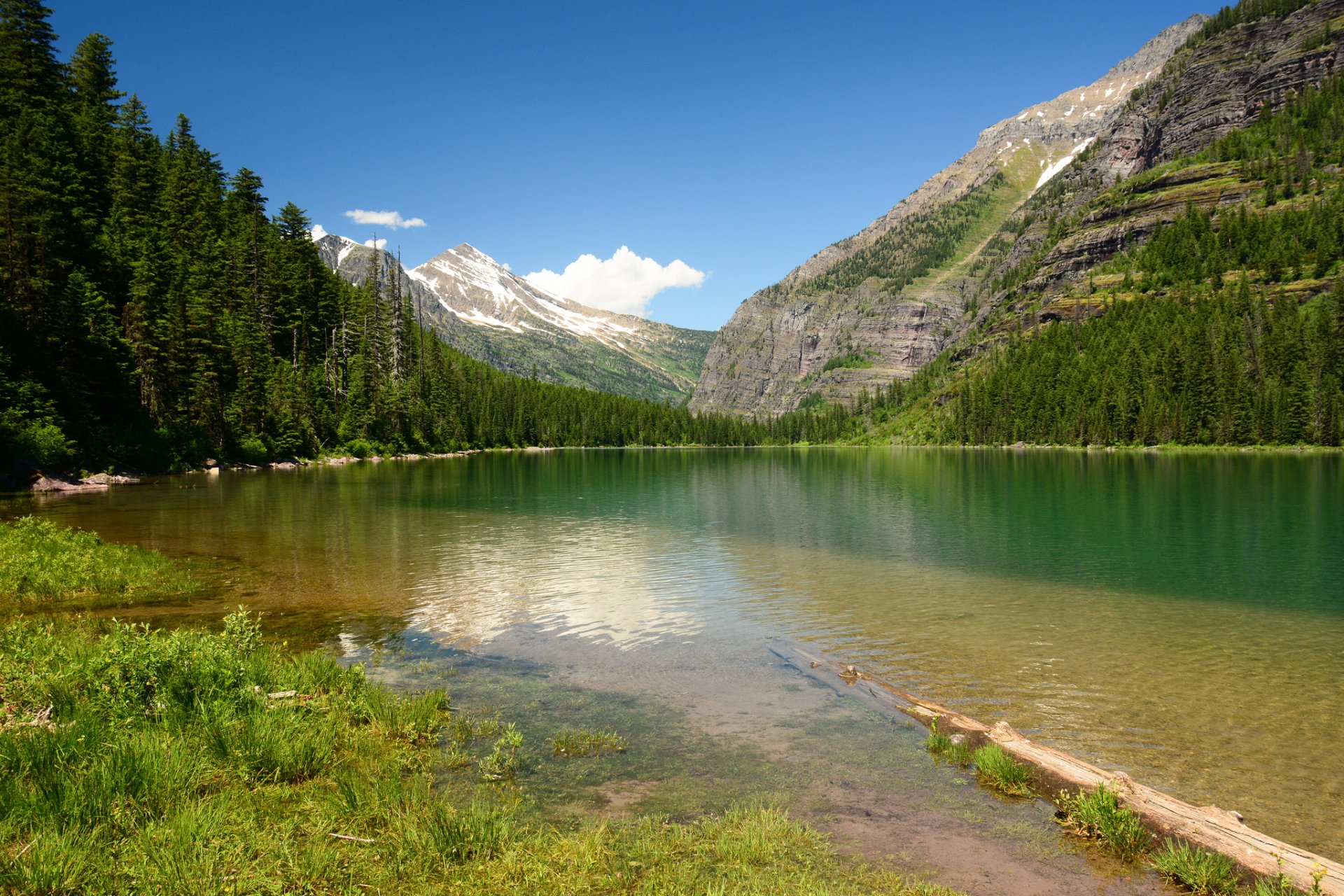 Download Avalanche Lake Montana Lake