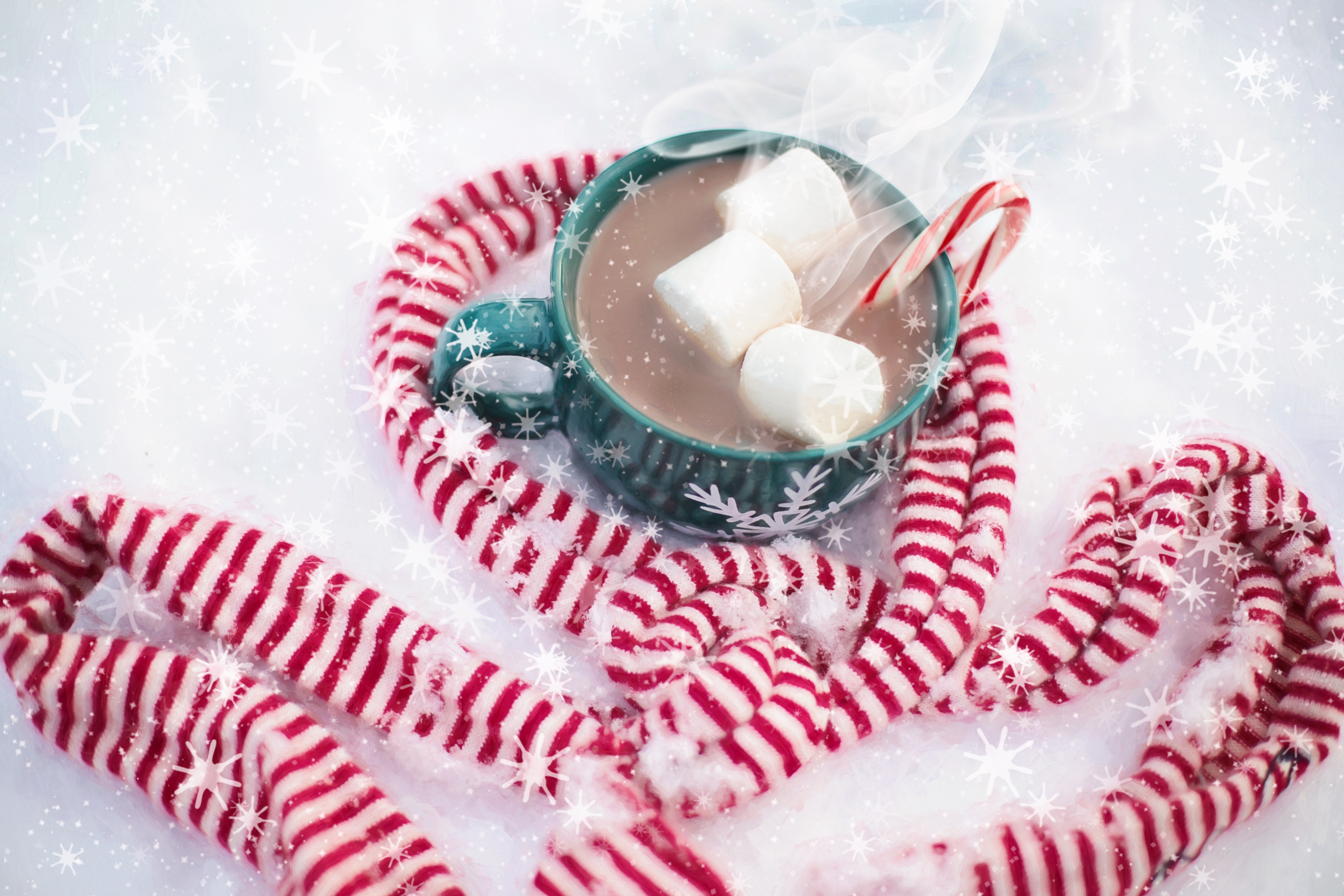 Free Image, snow, winter, cup, hot chocolate, heart, food, red, holiday, beverage, drink, christmas, mug, dessert, delicious, cake, scarf, cocoa, happy, icing, seasonal, organ, xmas, sweetness, confectionery, flavor, marshmallows 5760x3840