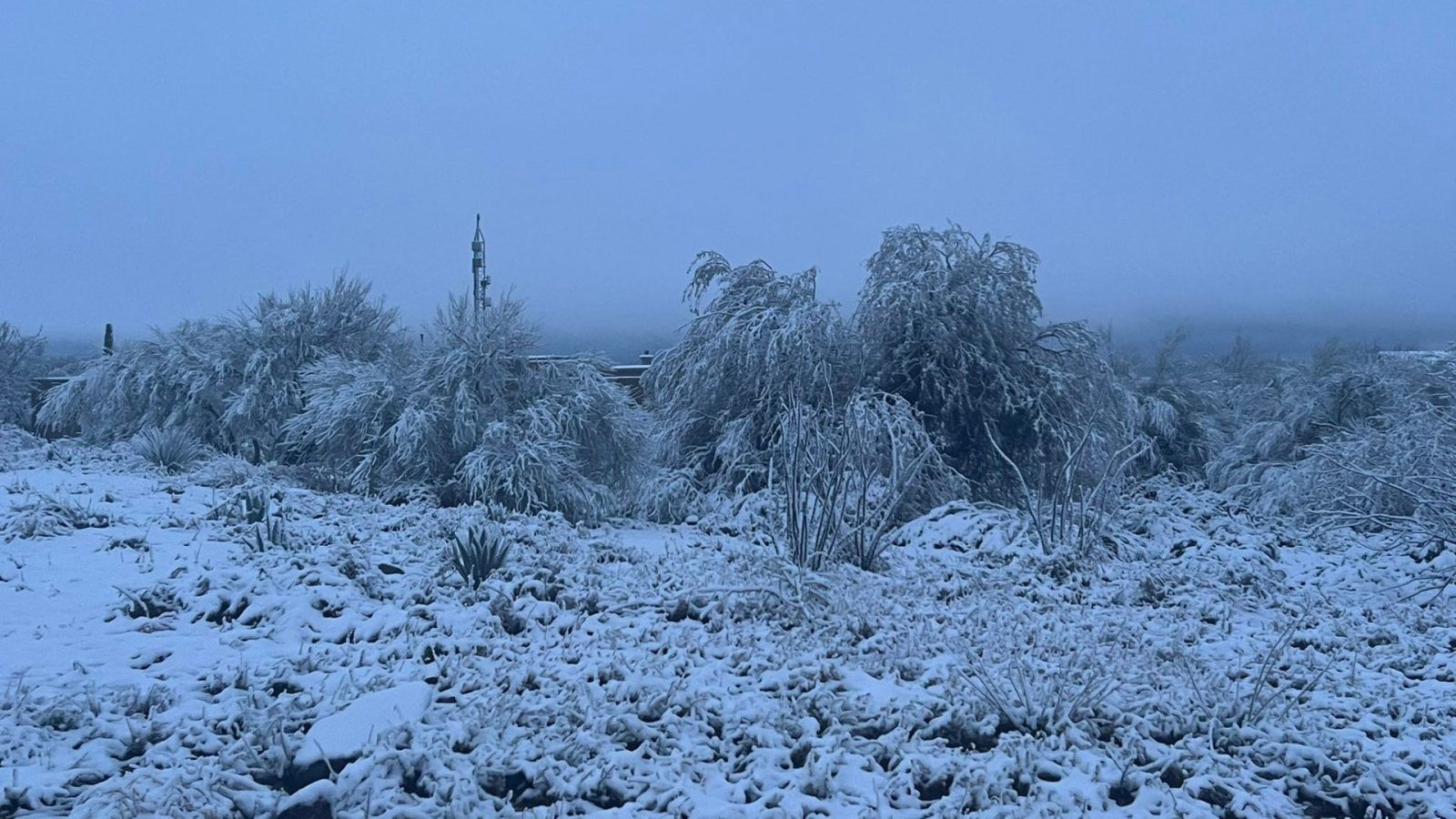Significant Snow Fell In The Arizona