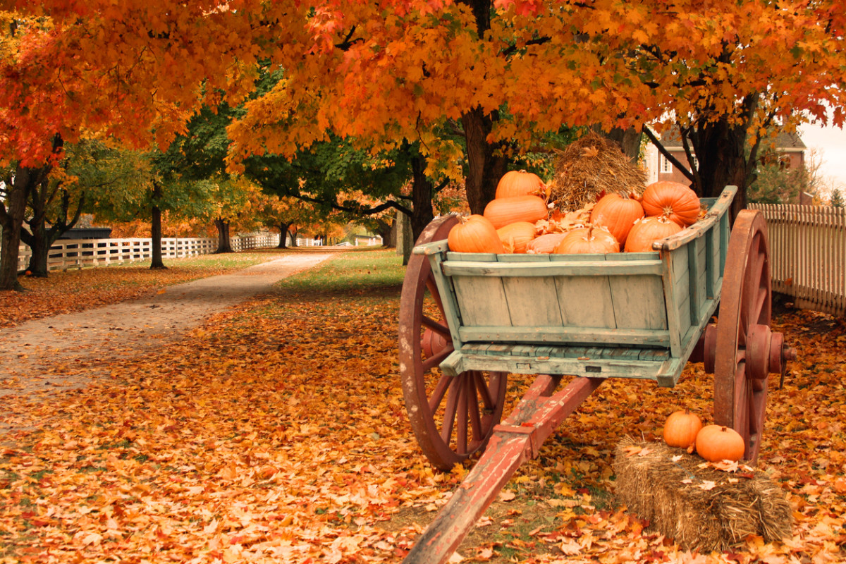 Beautiful Fall Picture, Image