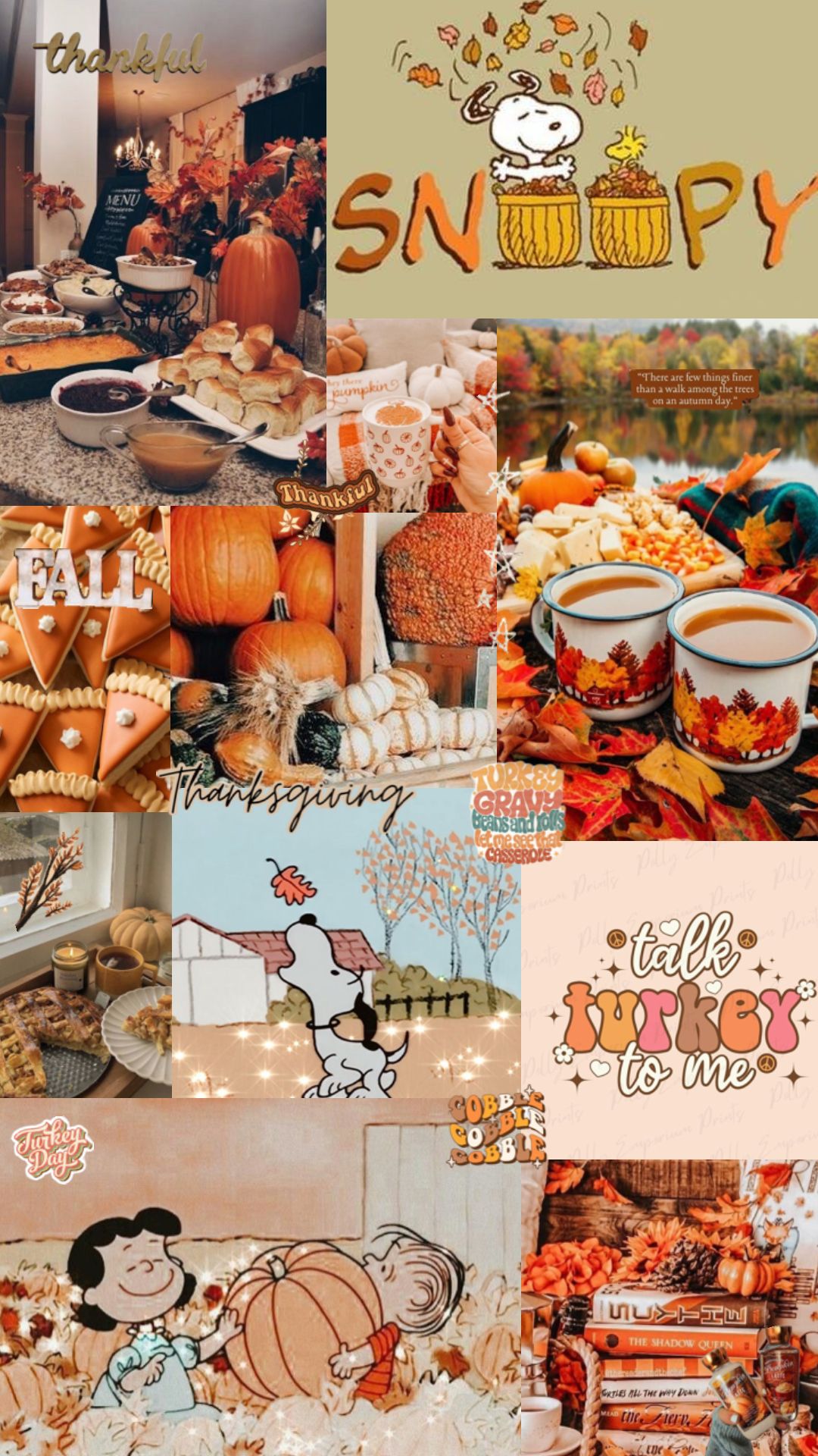 #thanksgiving #thanksgivingaesthetic #thanksgivingvibes #preppy #aesthetic #wallpaper #vibes #vintage #snoopy #charliebrown #fall #autumm #turkey #fallaesthetic #autummaesthetic #cute #backround