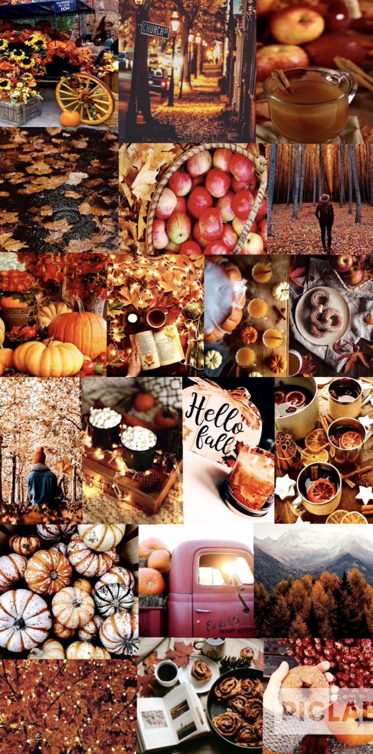 Cozy Up Your Screen with Thanksgiving and Fall Aesthetics