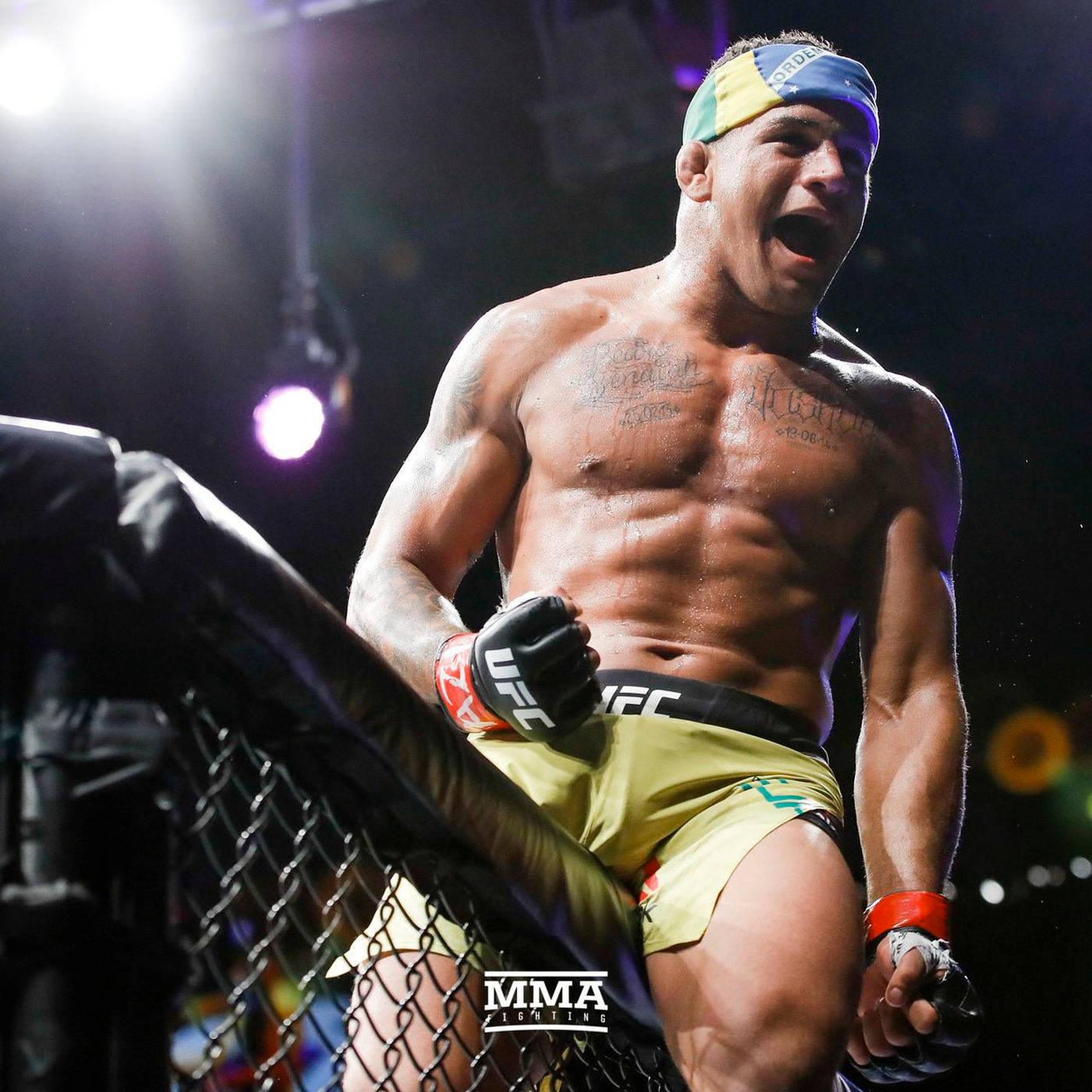 UFC Octagon Wallpaper