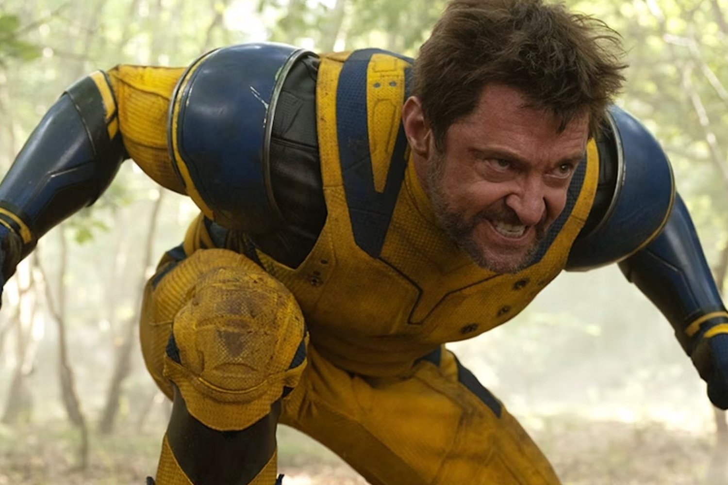 Wolverine Yellow And Blue Suit Wallpapers - Wallpaper Cave