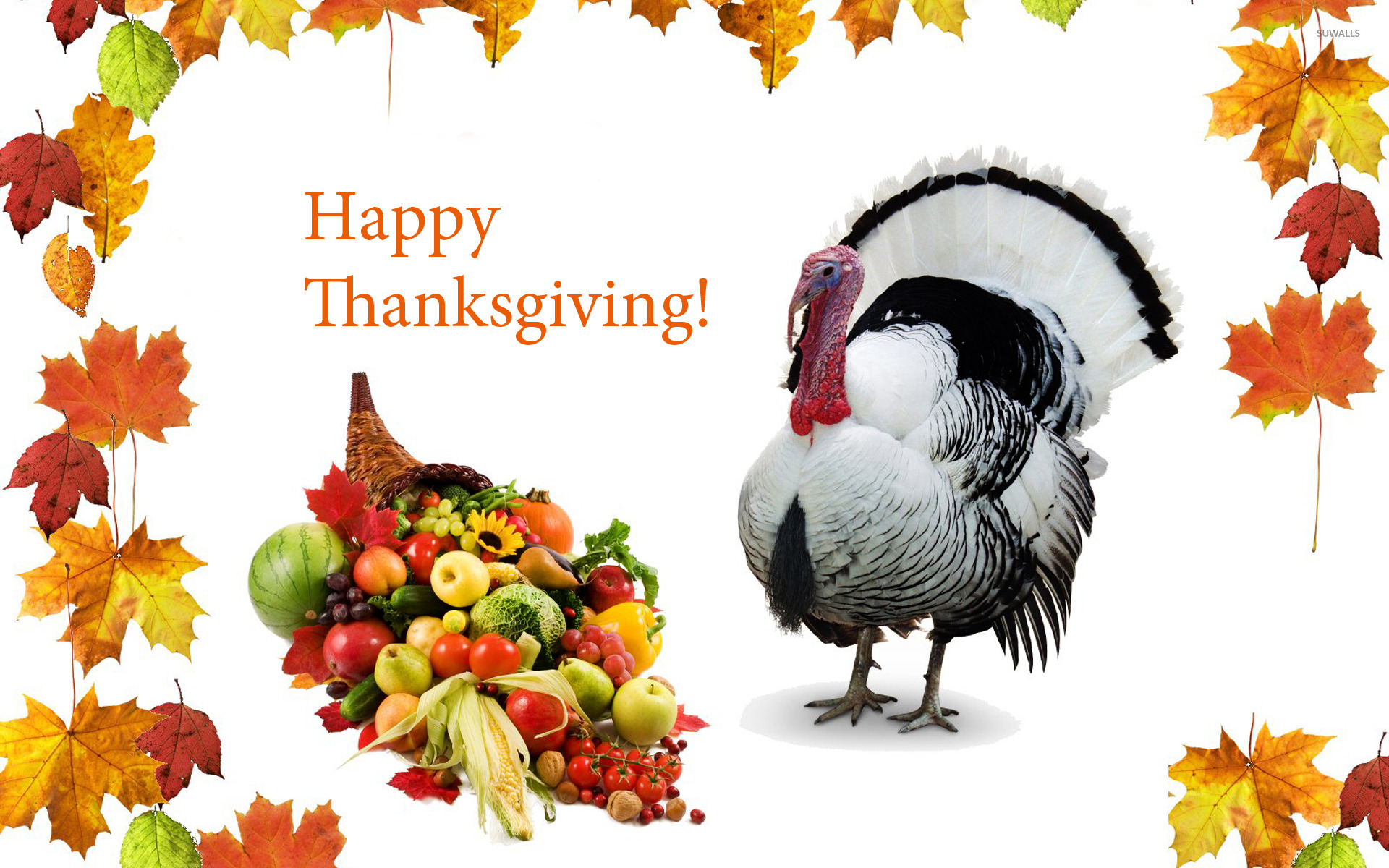 Happy Thanksgiving [6] wallpaper
