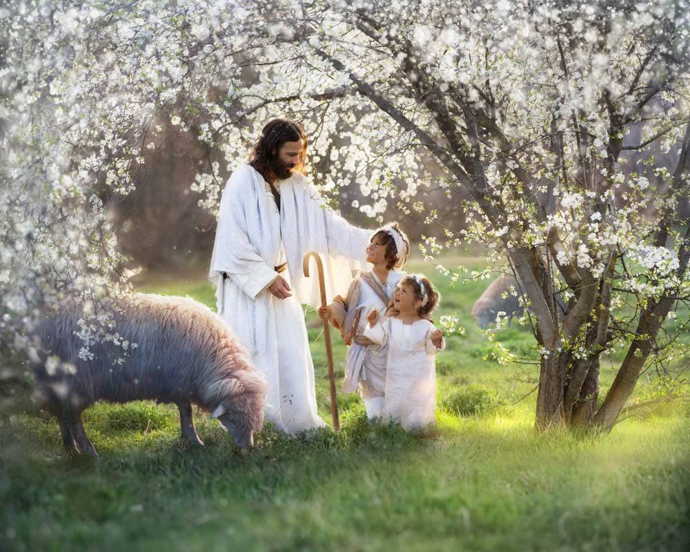 Jesus the Good Shepherd Image