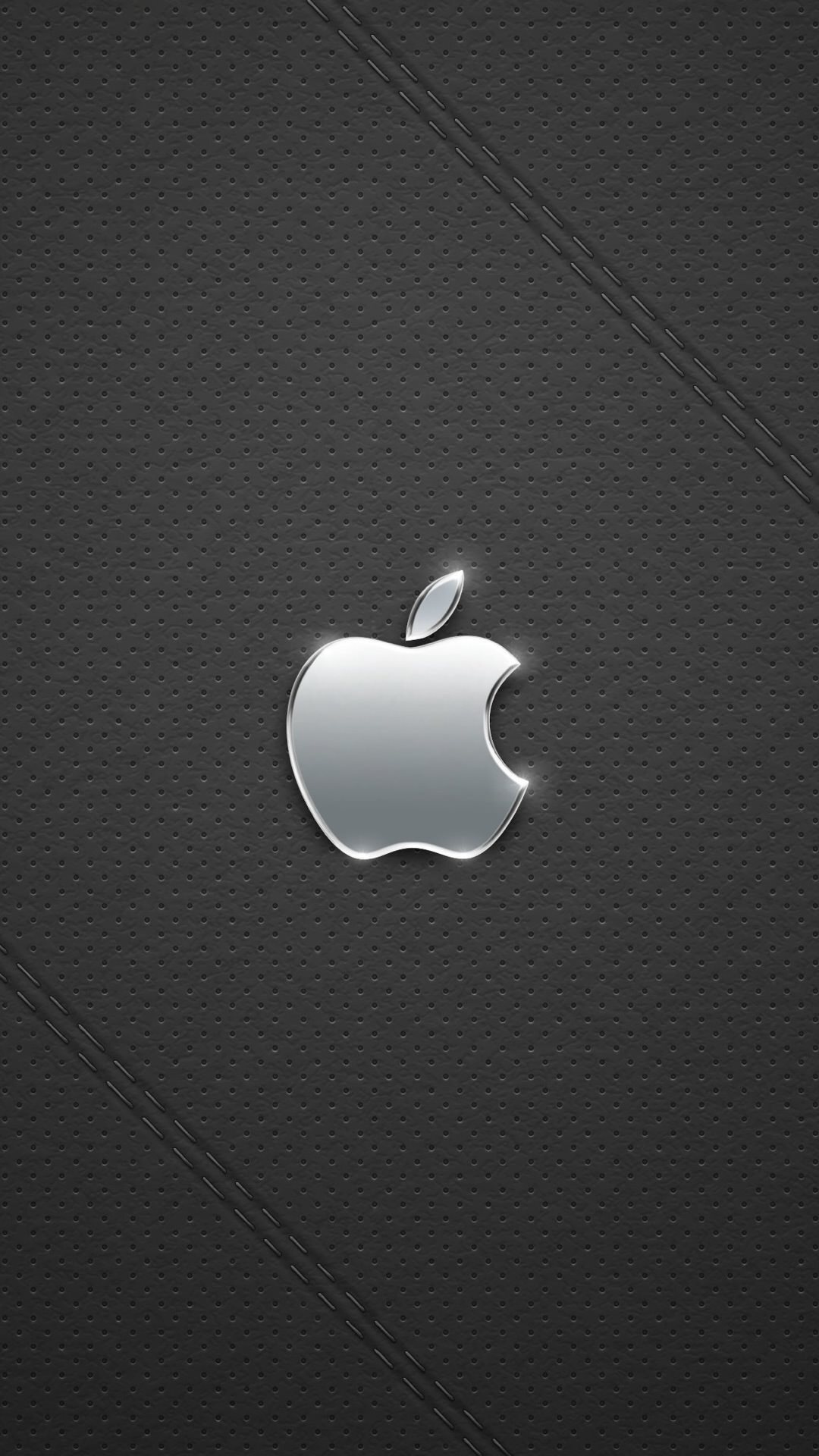 Apple Logo Silver Leather Grey