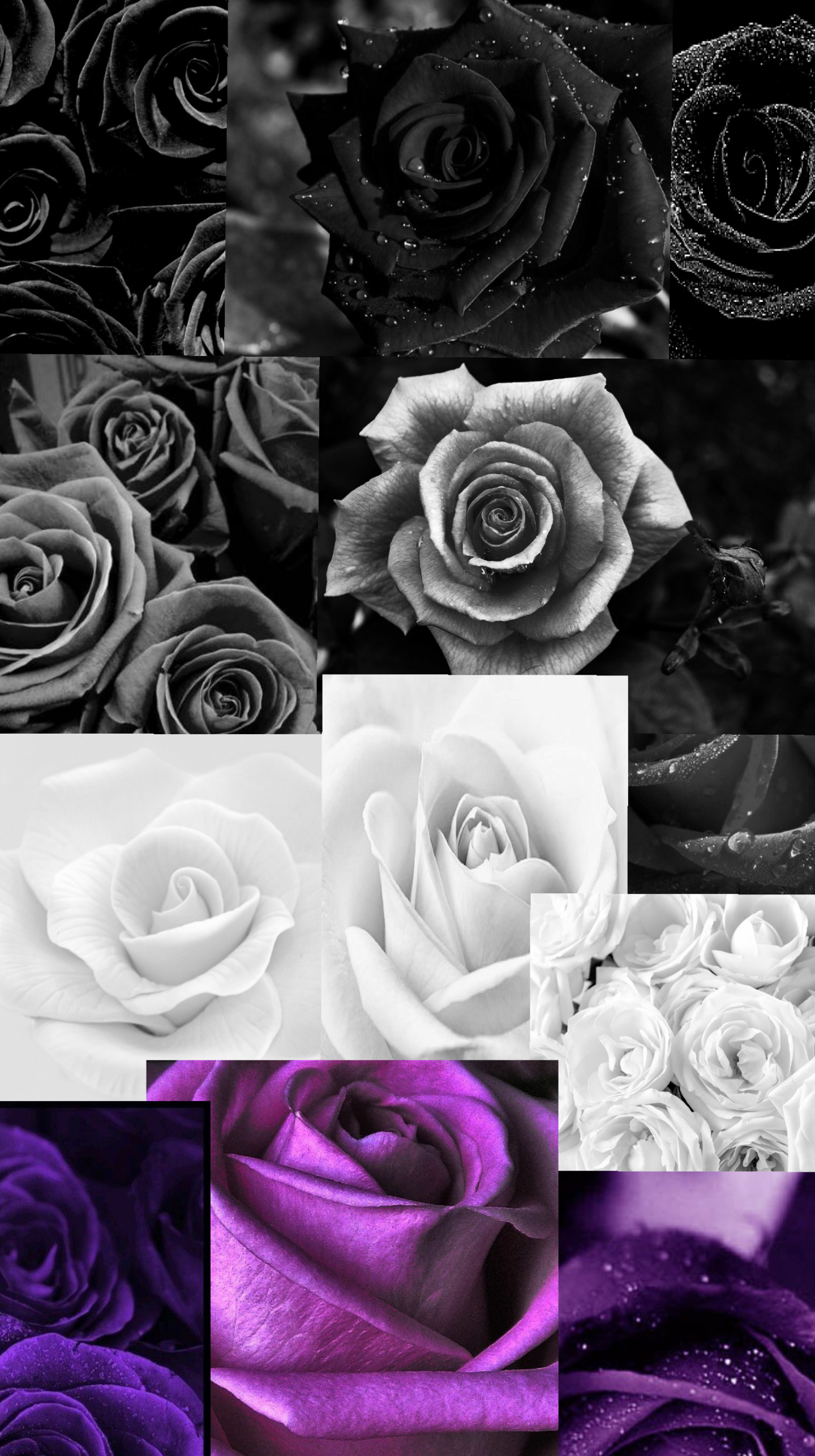 Ace rose collage phone wallpaper {not