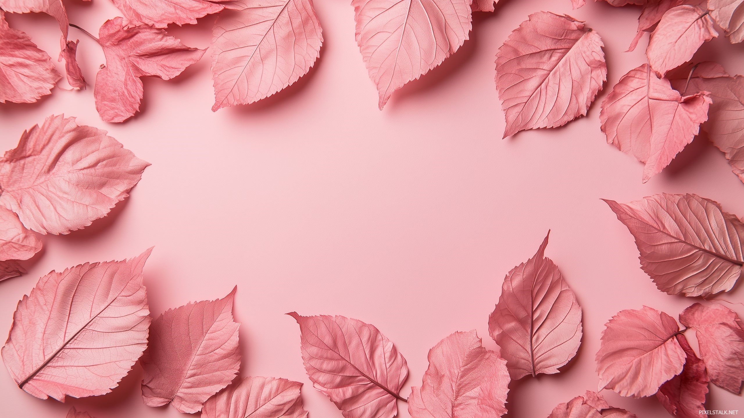 Pink Fall HD Wallpaper Free Download