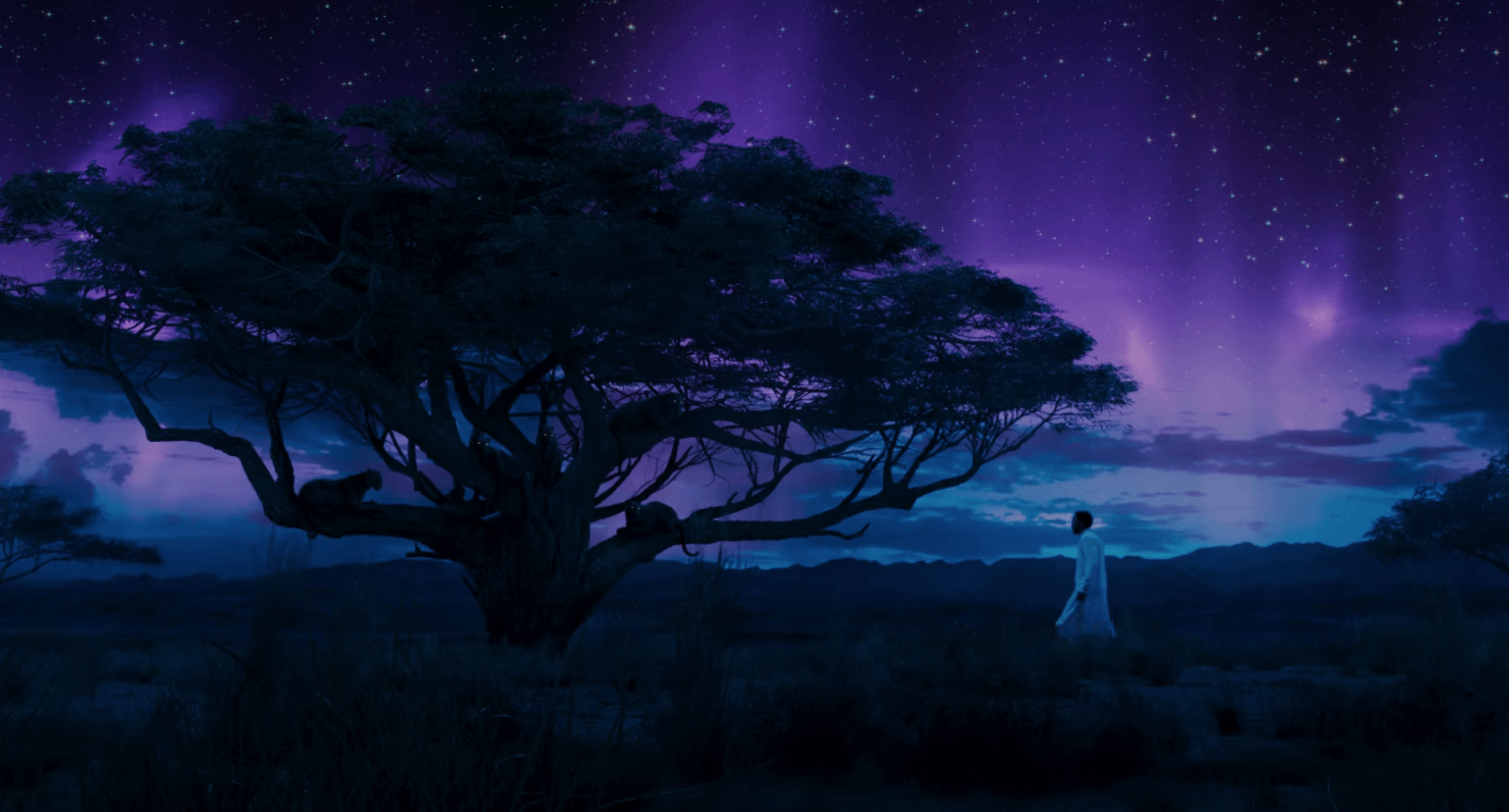 def image of the Ancestral Plane