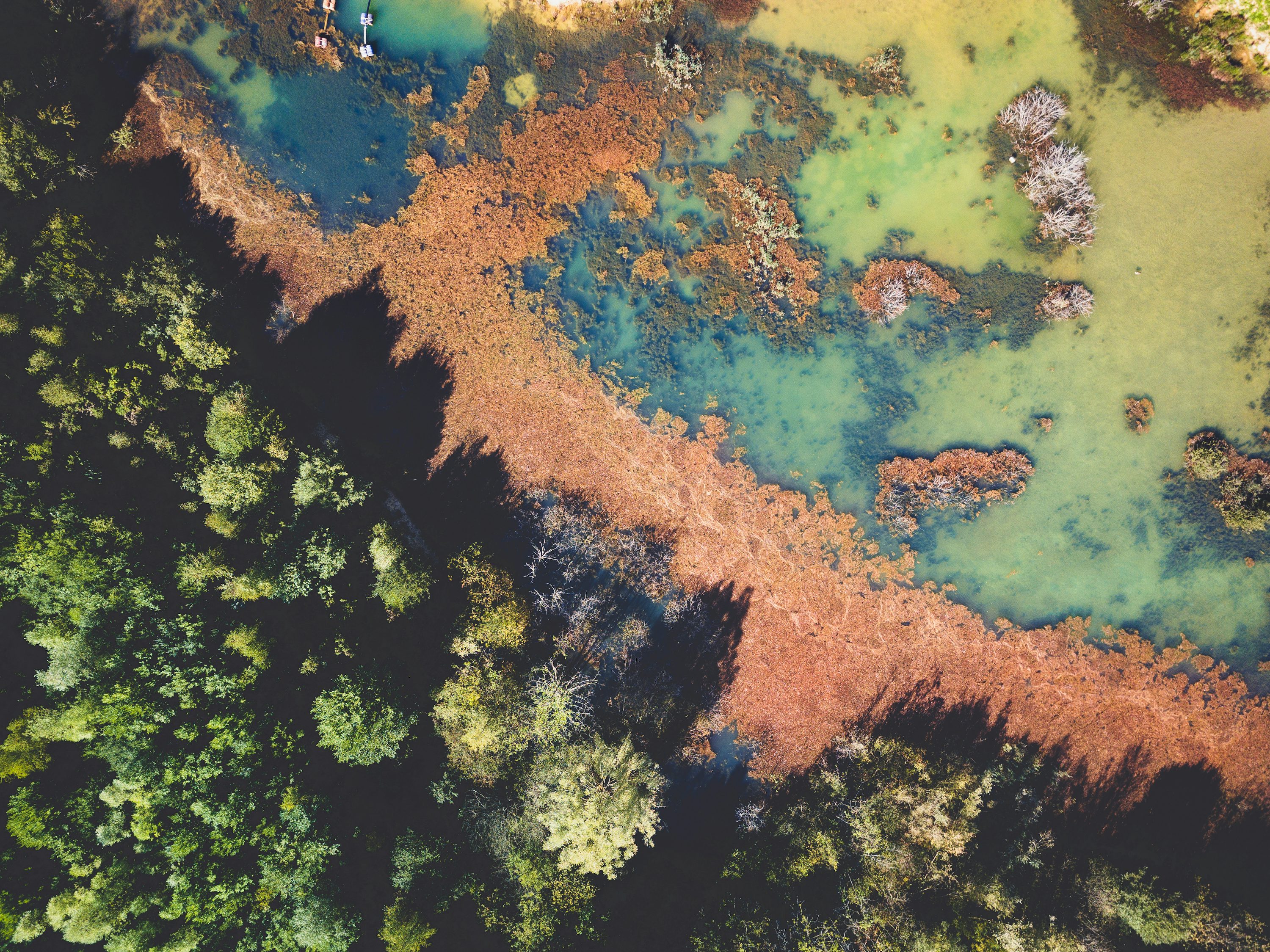 Substance Picture. Download Free