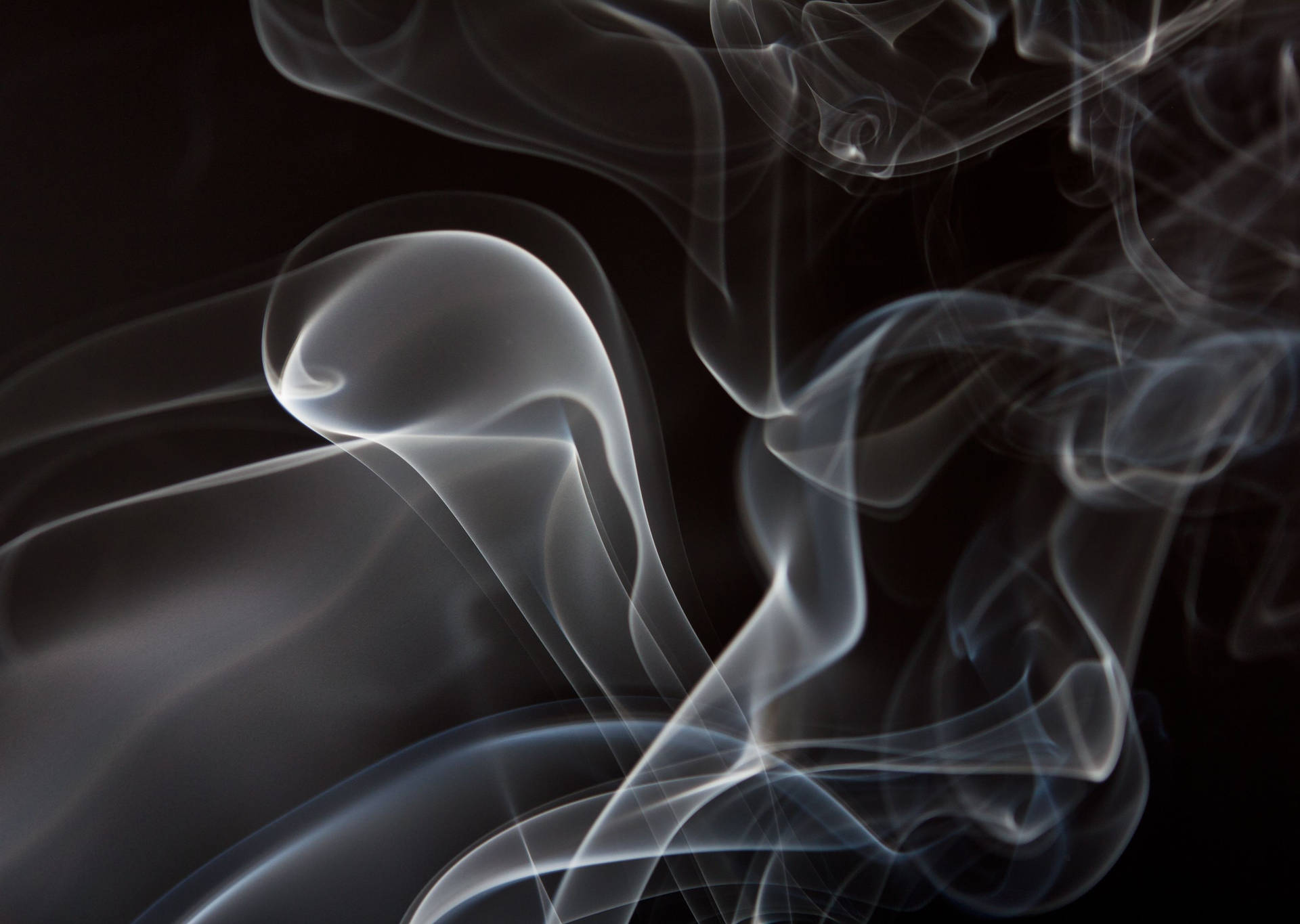 Volatile Wallpaper