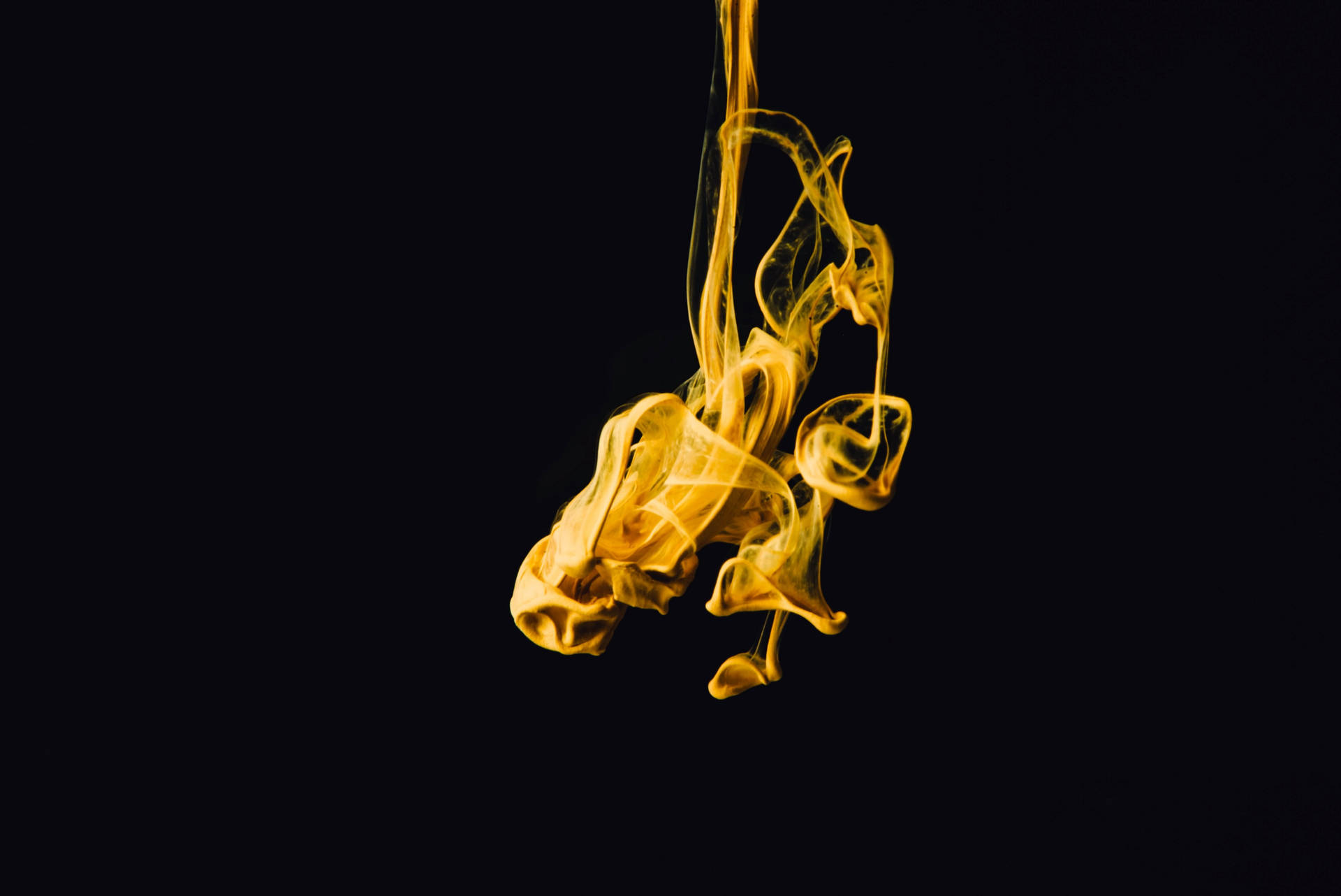 Volatile Picture