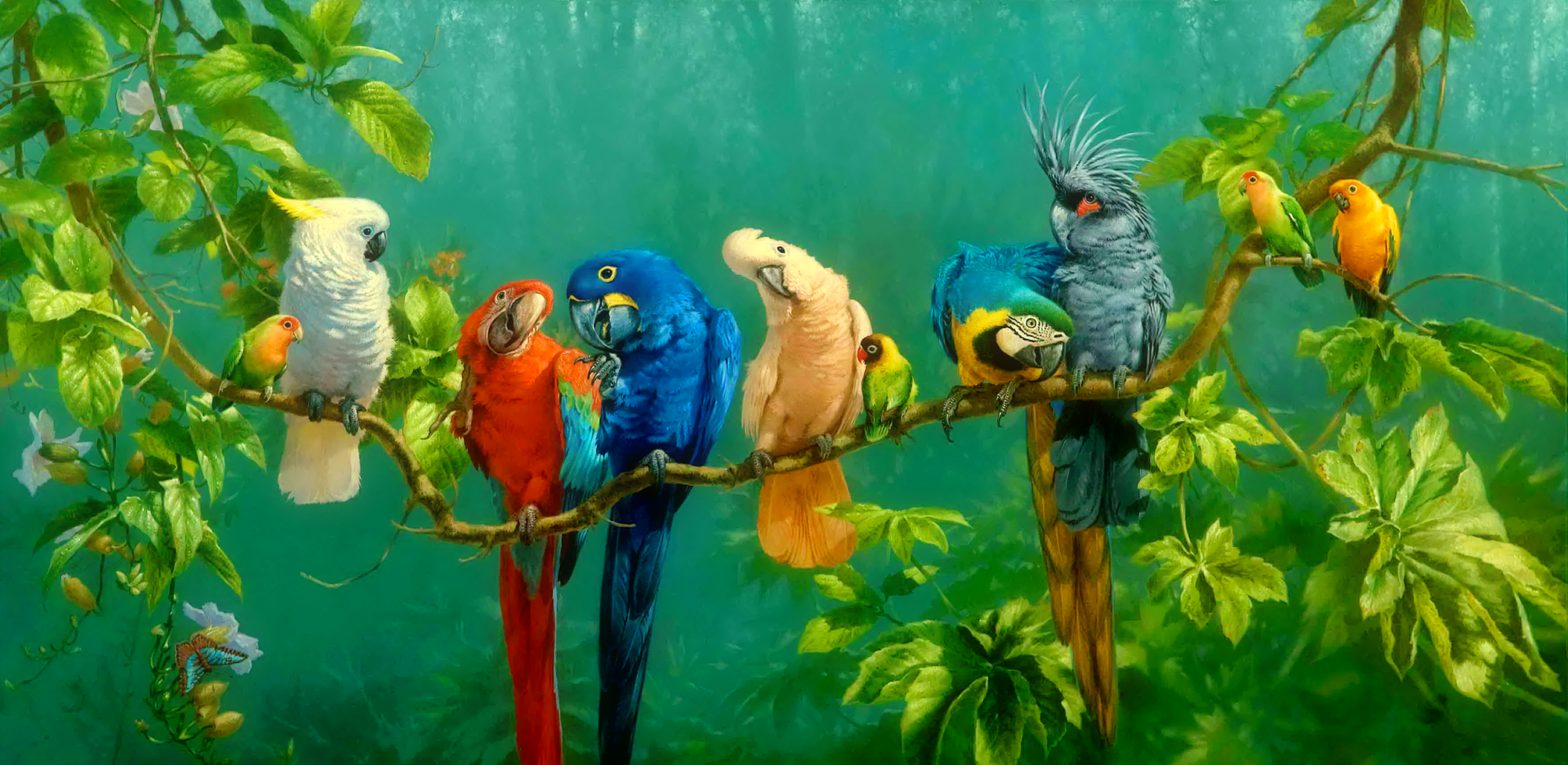 Vibrant Tropical Parrots HD Wallpaper