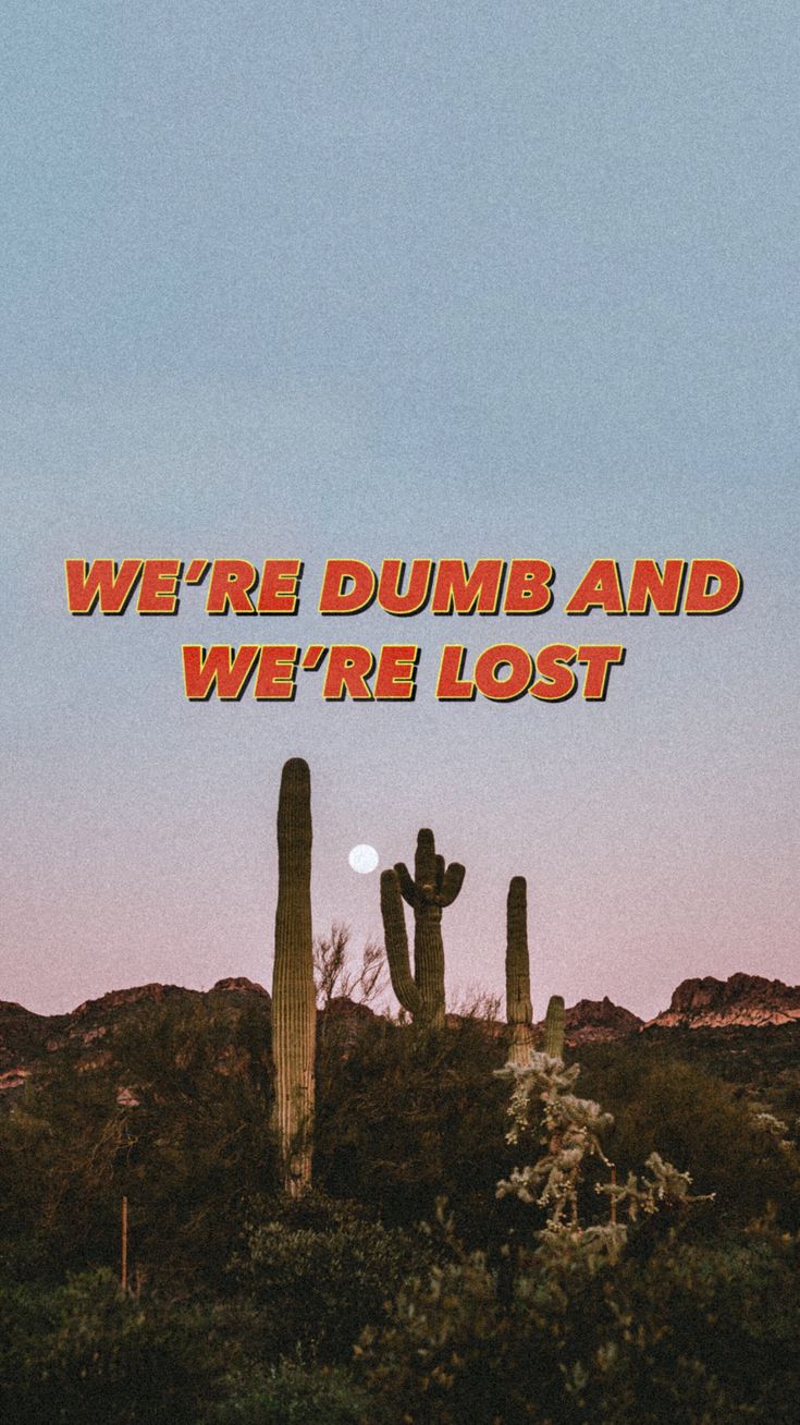 DUMB & LOST™