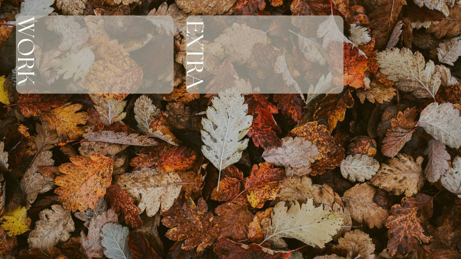 Download Autumn Aesthetic Laptop Note
