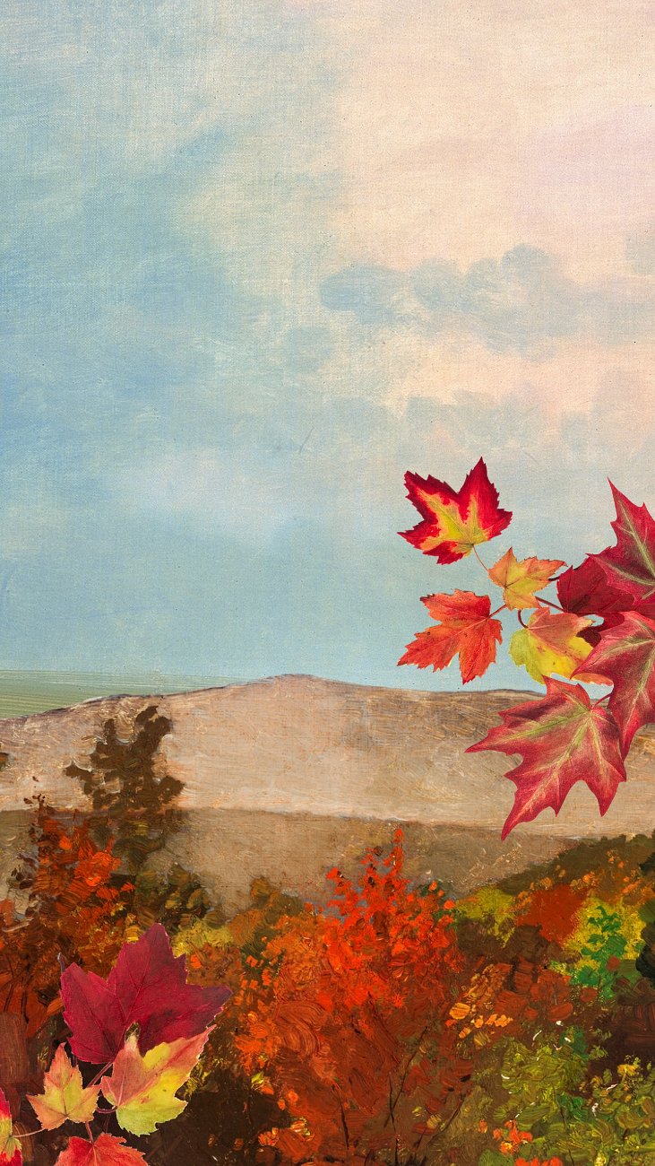 Dark maple forest iPhone wallpaper