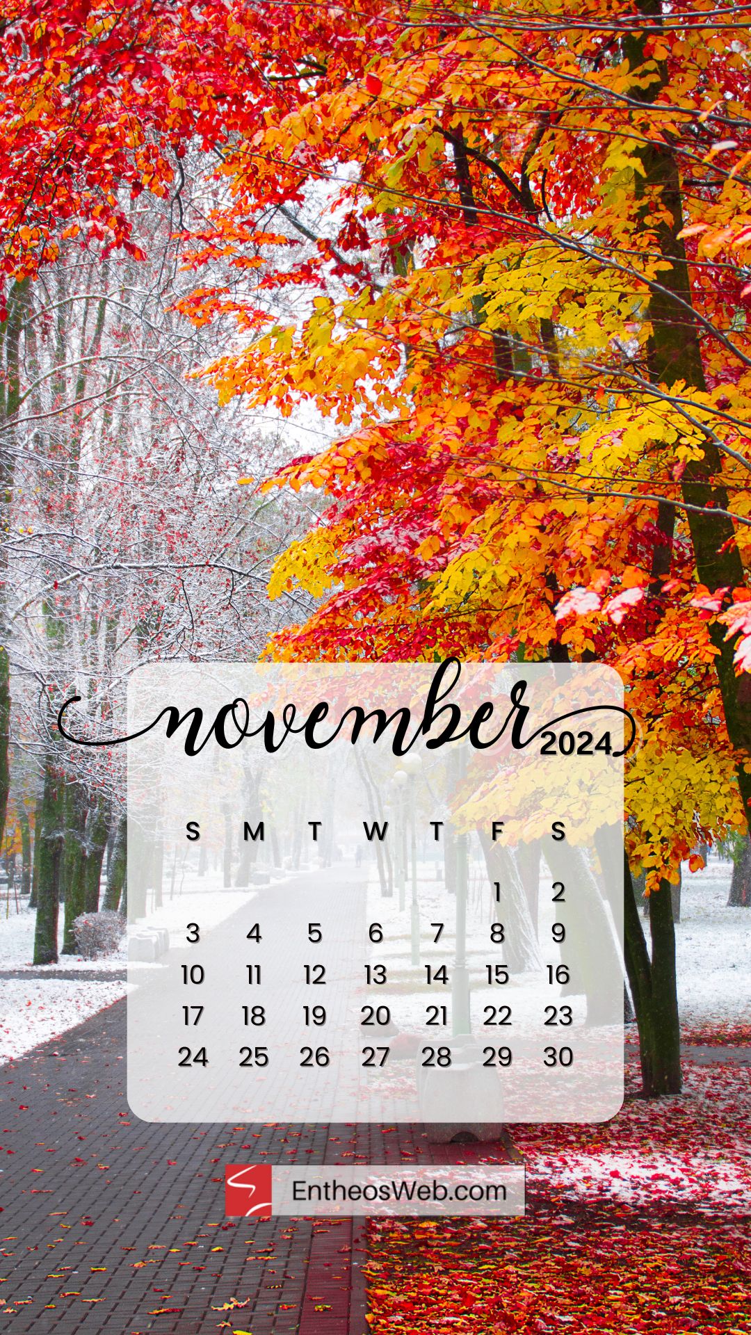 November 2024 Phone Wallpaper Downloads