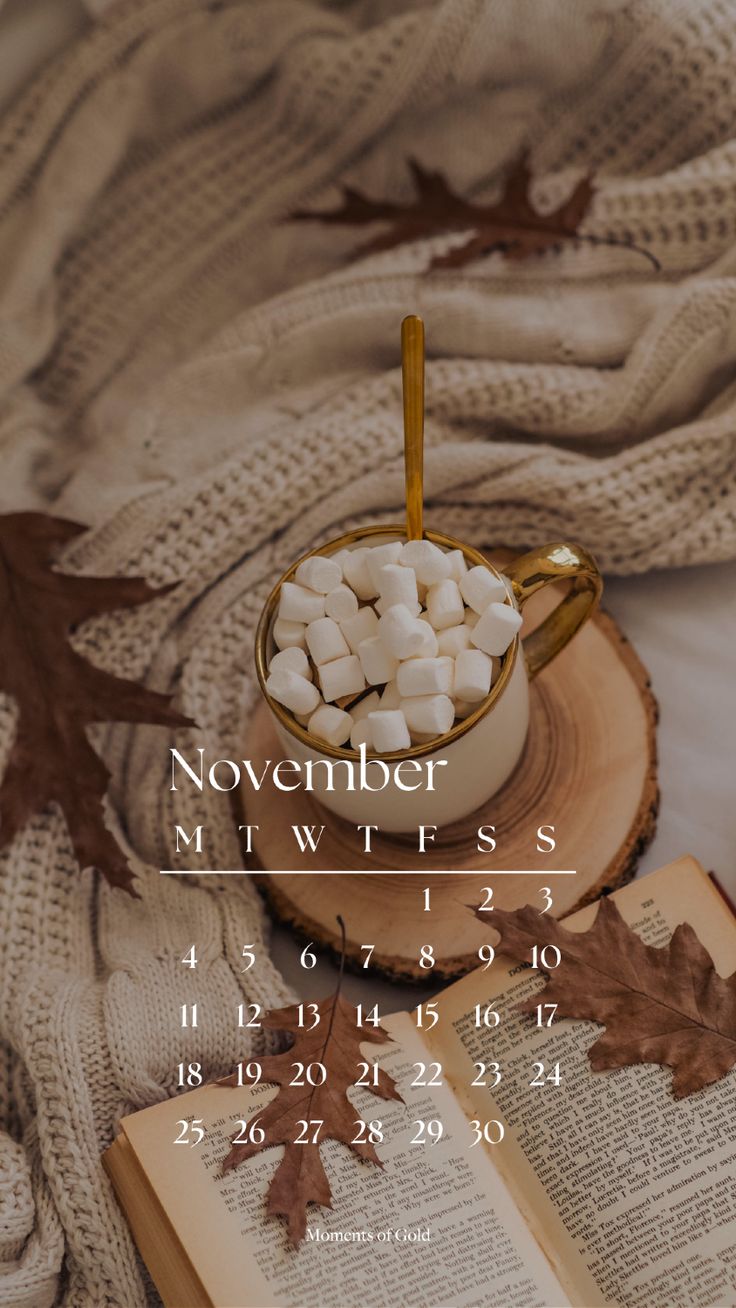 November 2024 Calendar Wallpaper, Phone
