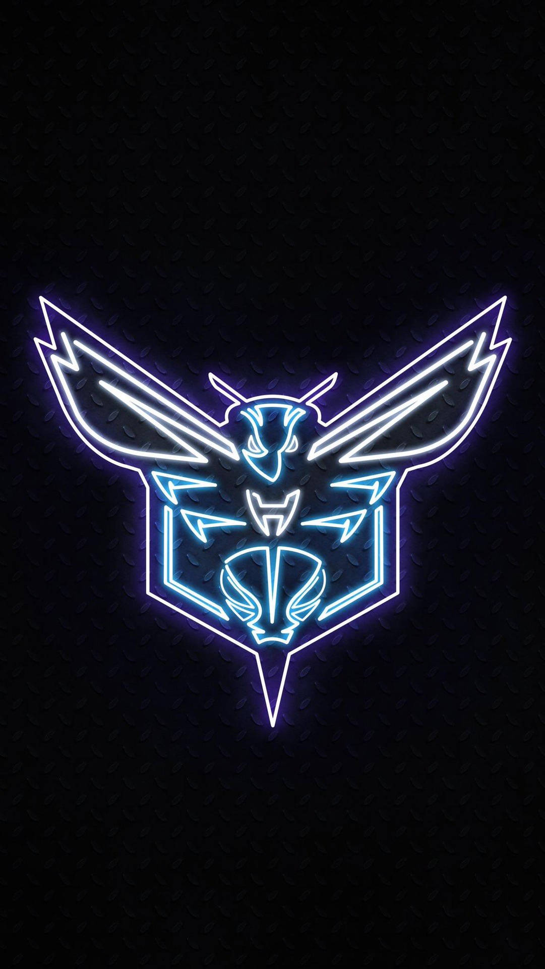Charlotte Hornets In Black Wallpaper
