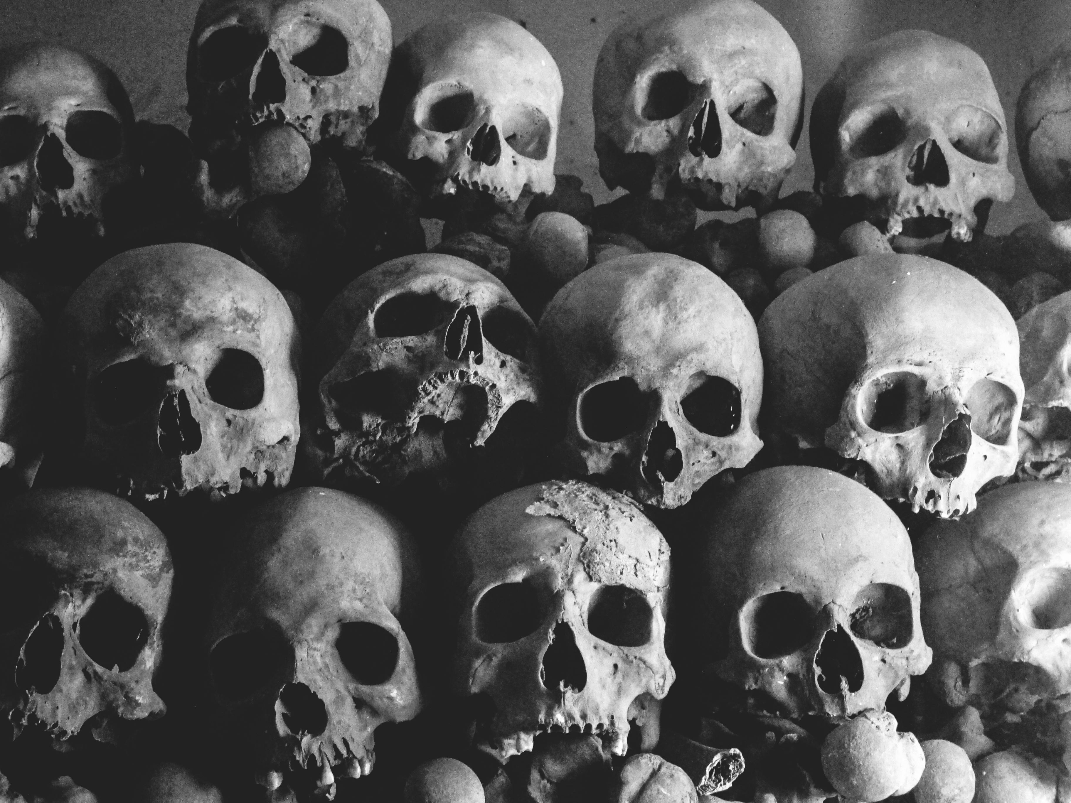 Skull Wallpaper Photo, Download