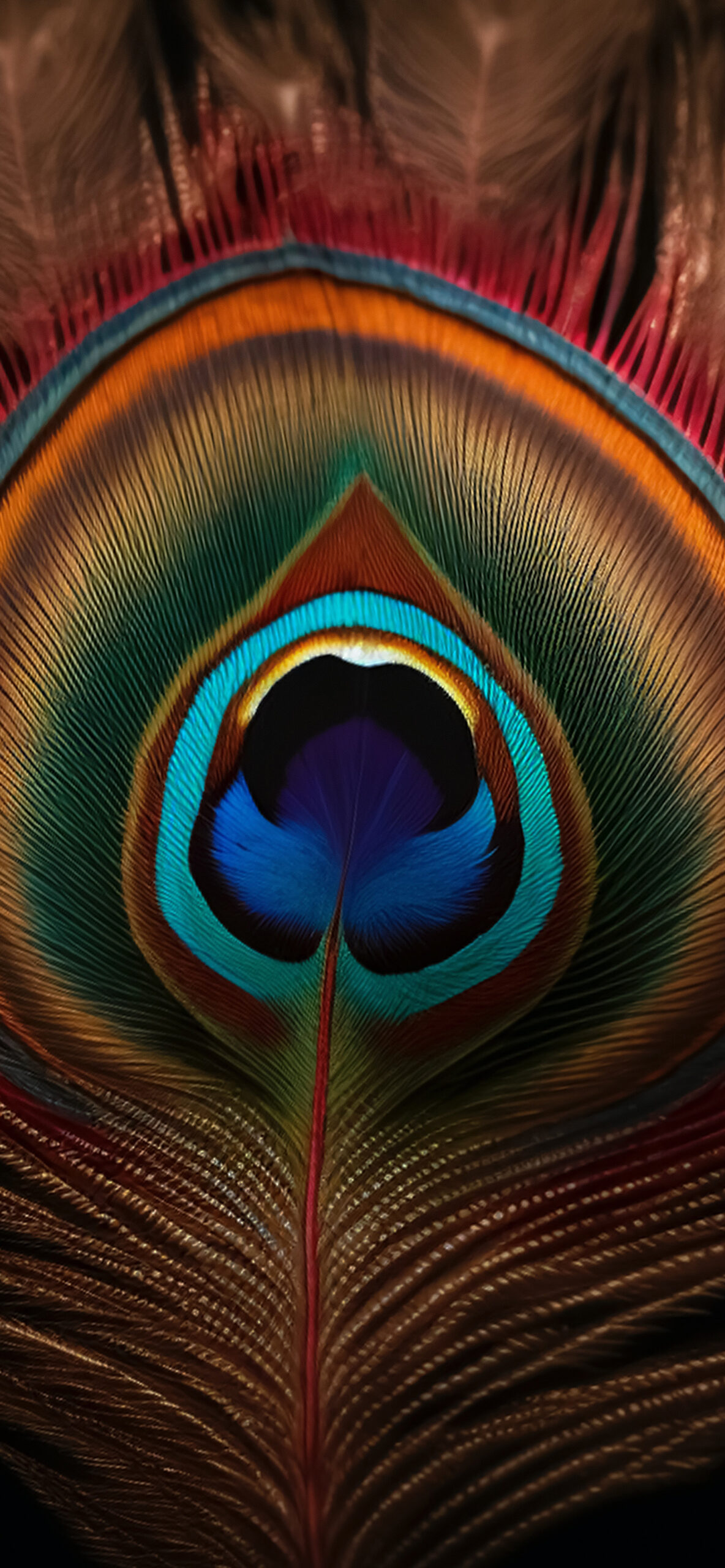 Feather Wallpaper for iPhone 11, Pro