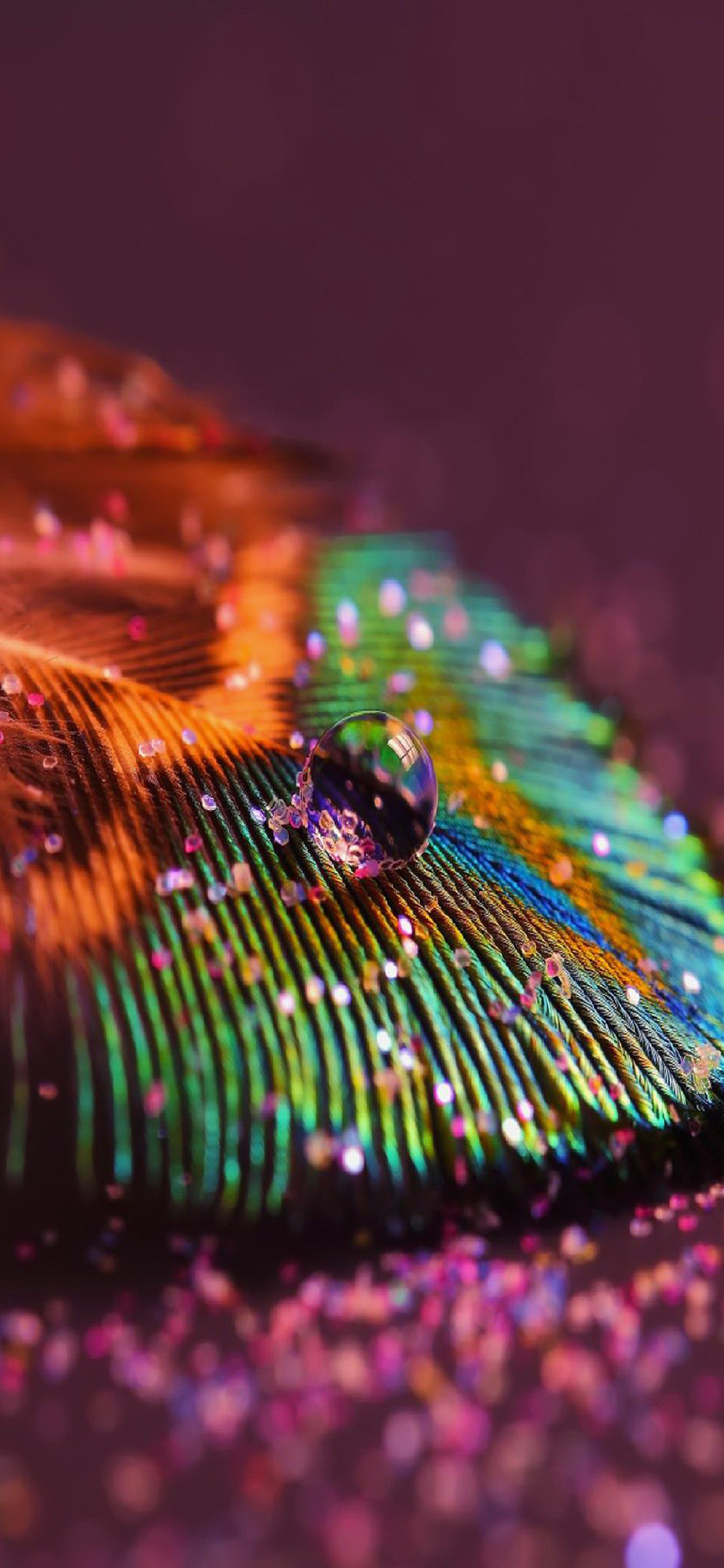 Art Feather Red Wallpaper