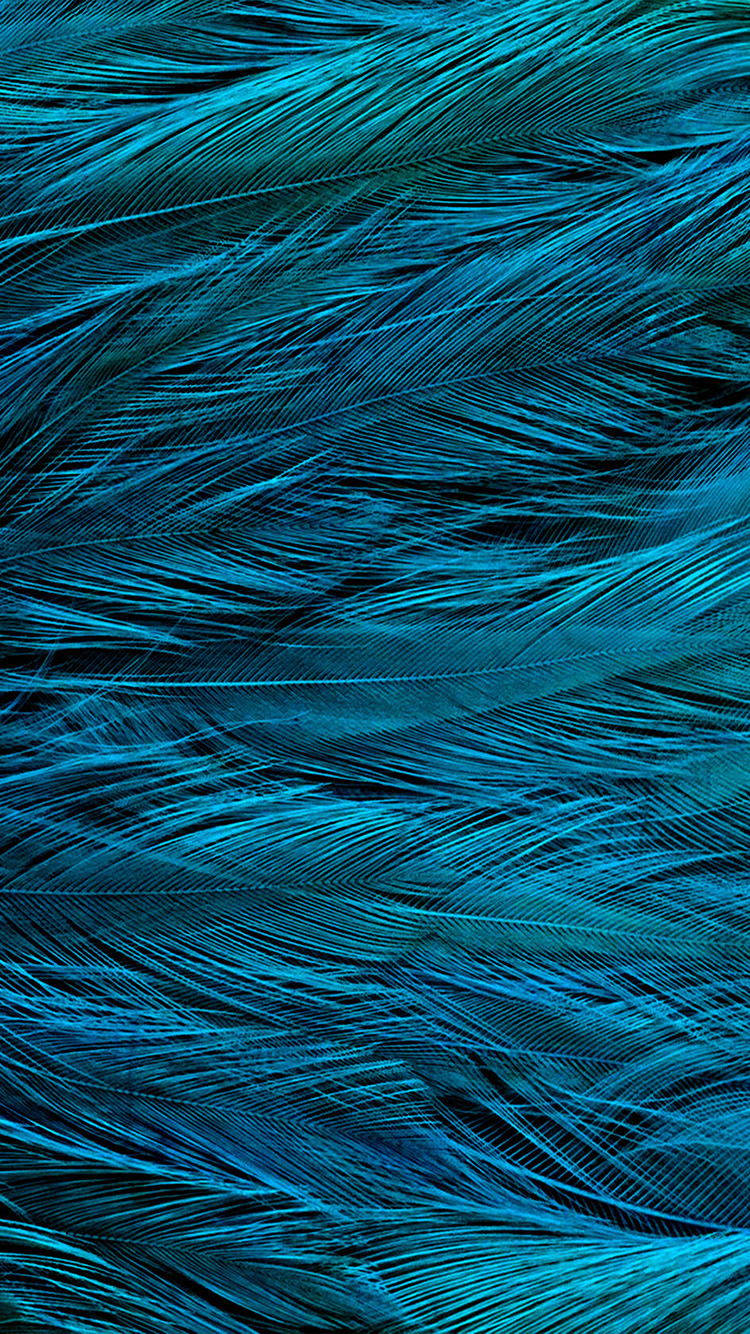 Feather Blue Bird Texture Pattern