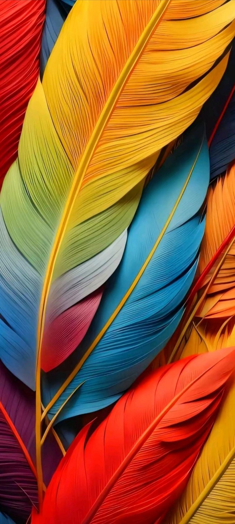 Colourful Feather