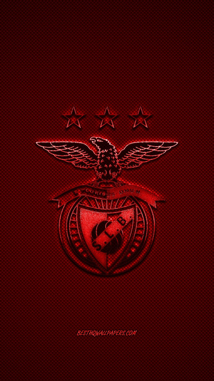 Benfica Wallpaper 2560x1600 66202