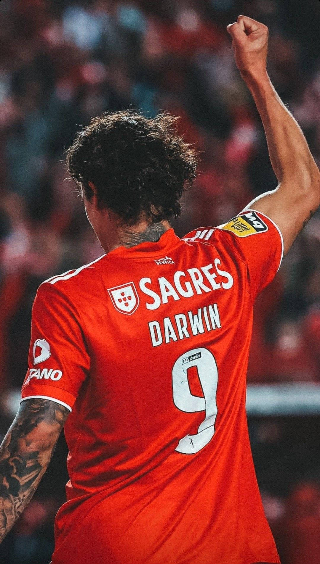 Darwin Núñez HD Wallpaper