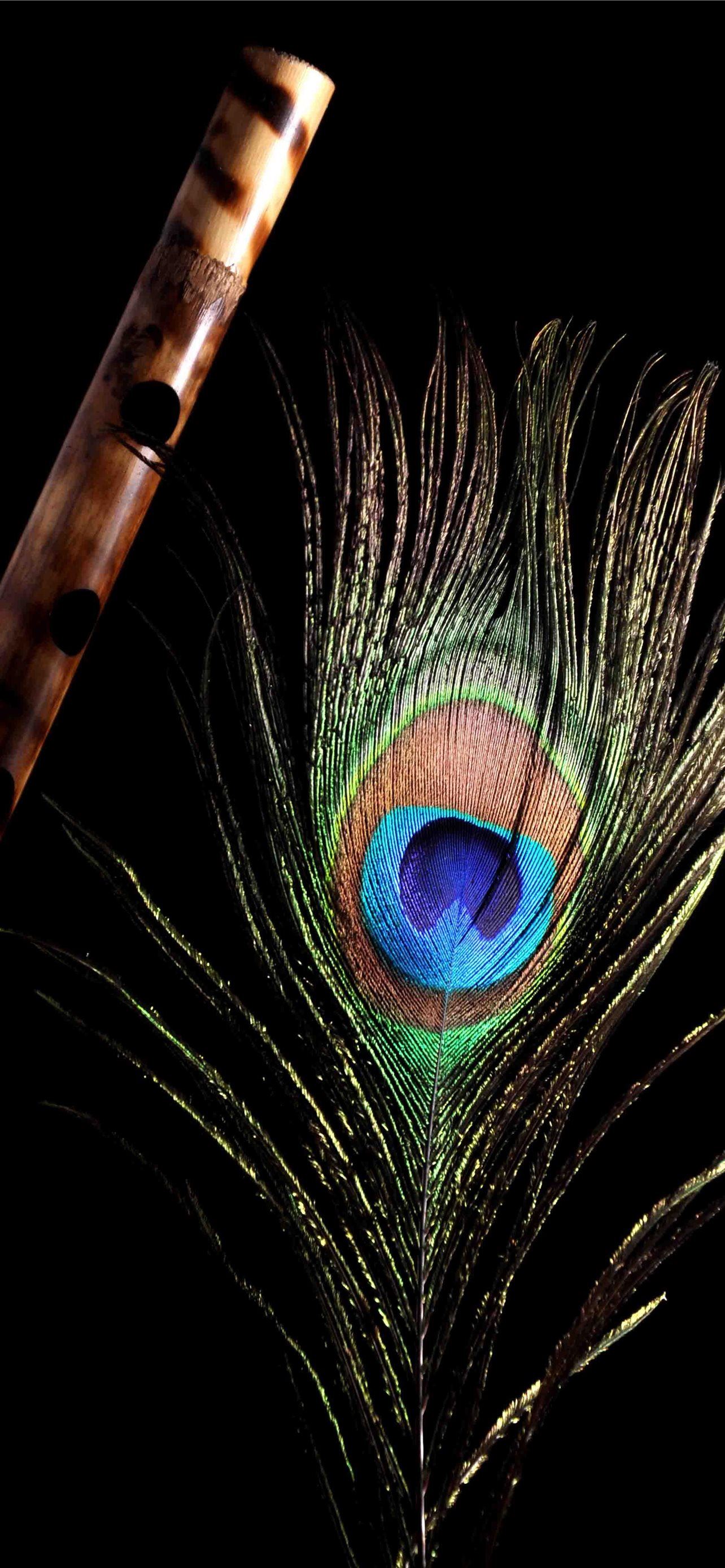 Flute And Peacock Feather Wallpaper