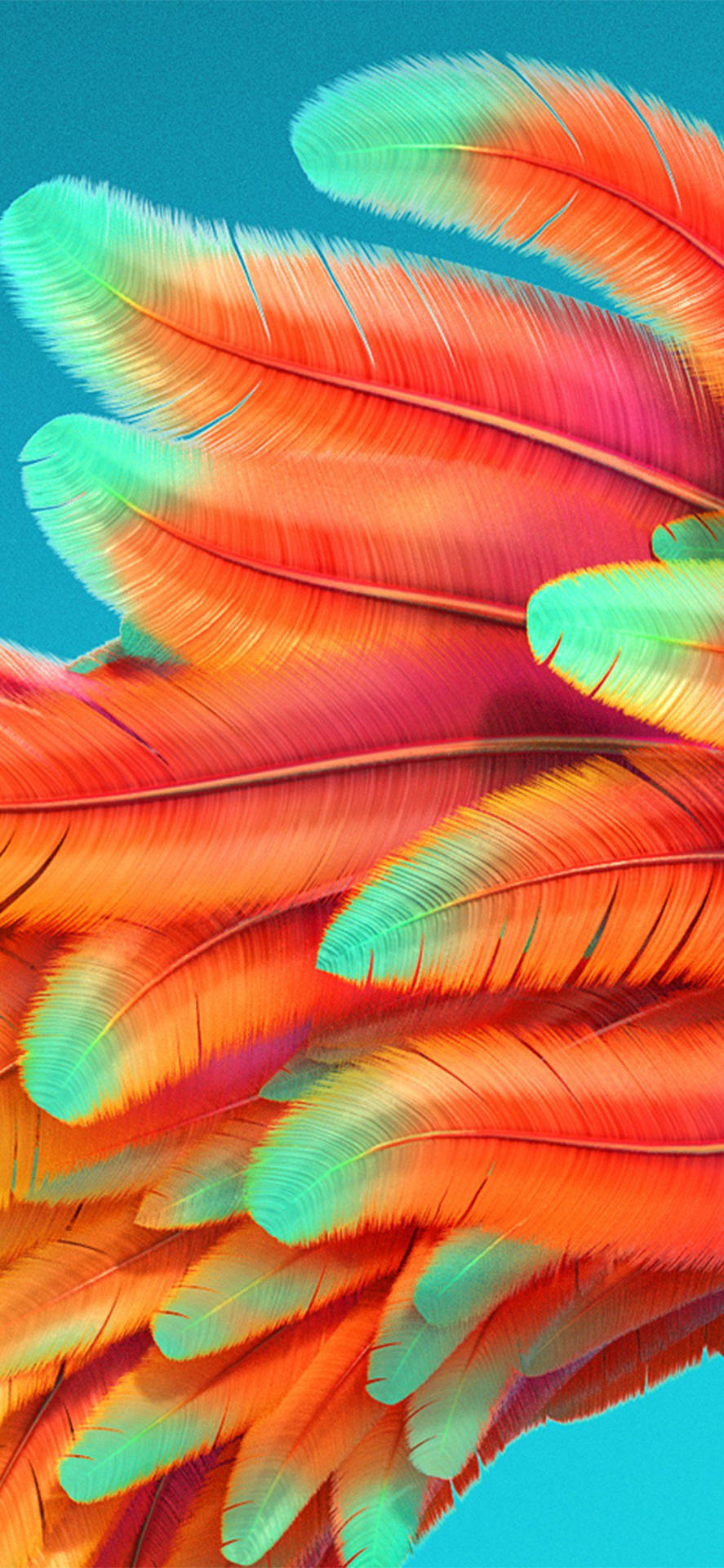 Download free Color iPhone Rainbow Bird