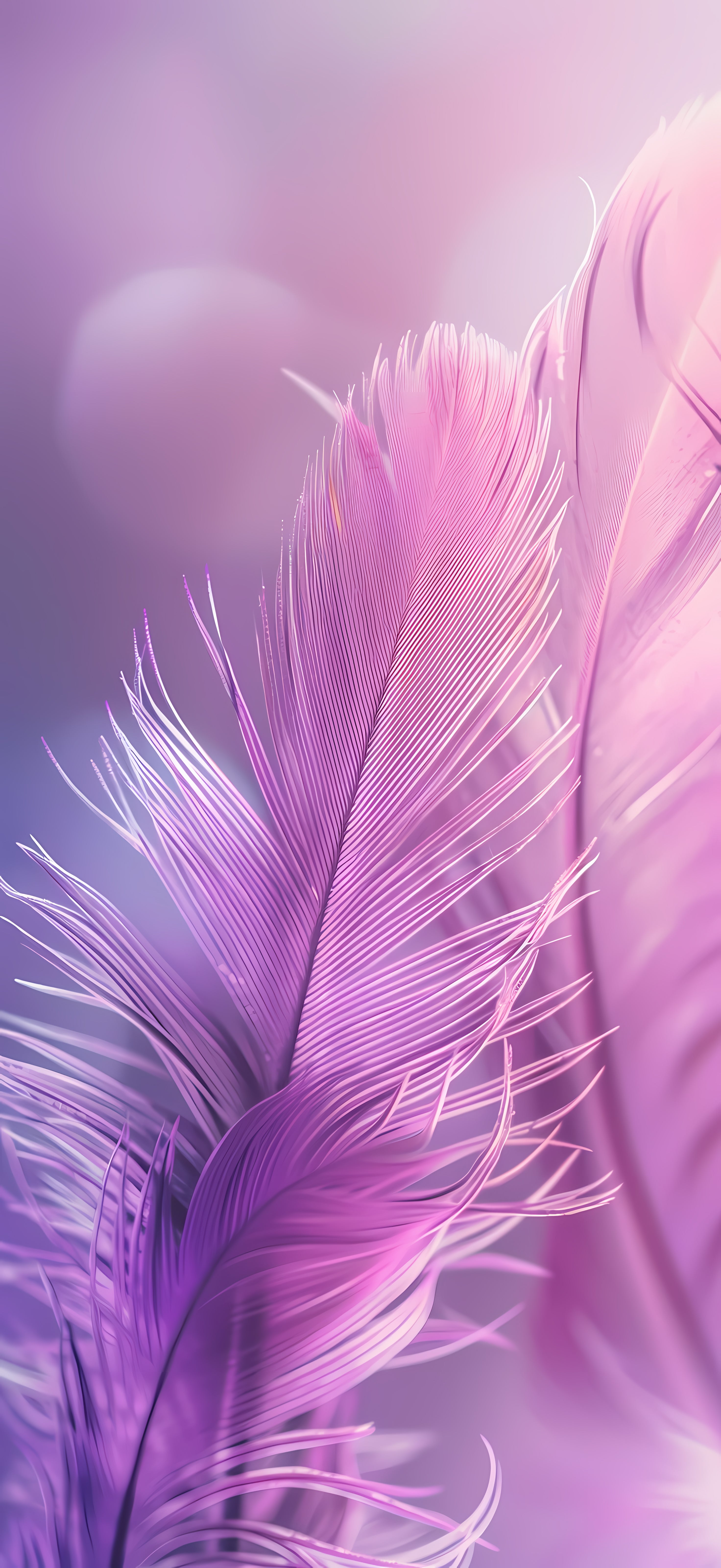 Best Purple iPhone Wallpaper 2024