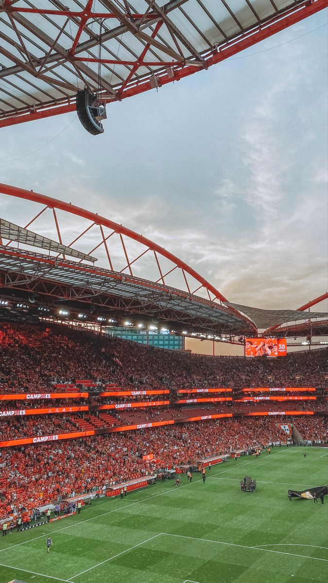 benfica, benfica wallpaper