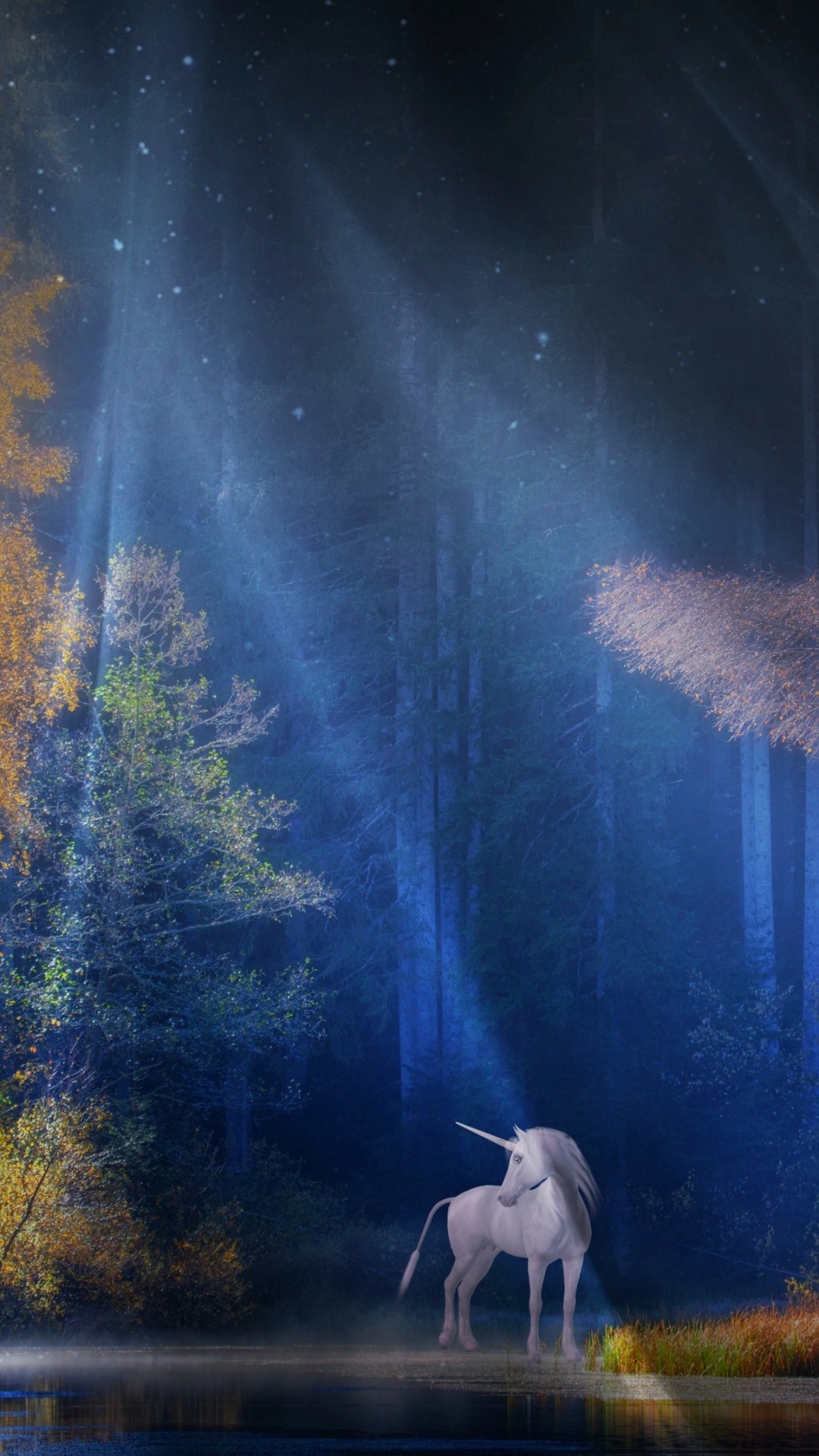 Unicorn Wallpaper 4K, Fairy tale