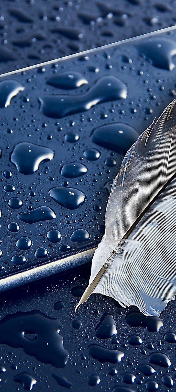iPhone 6 Apple Feather Smartphone