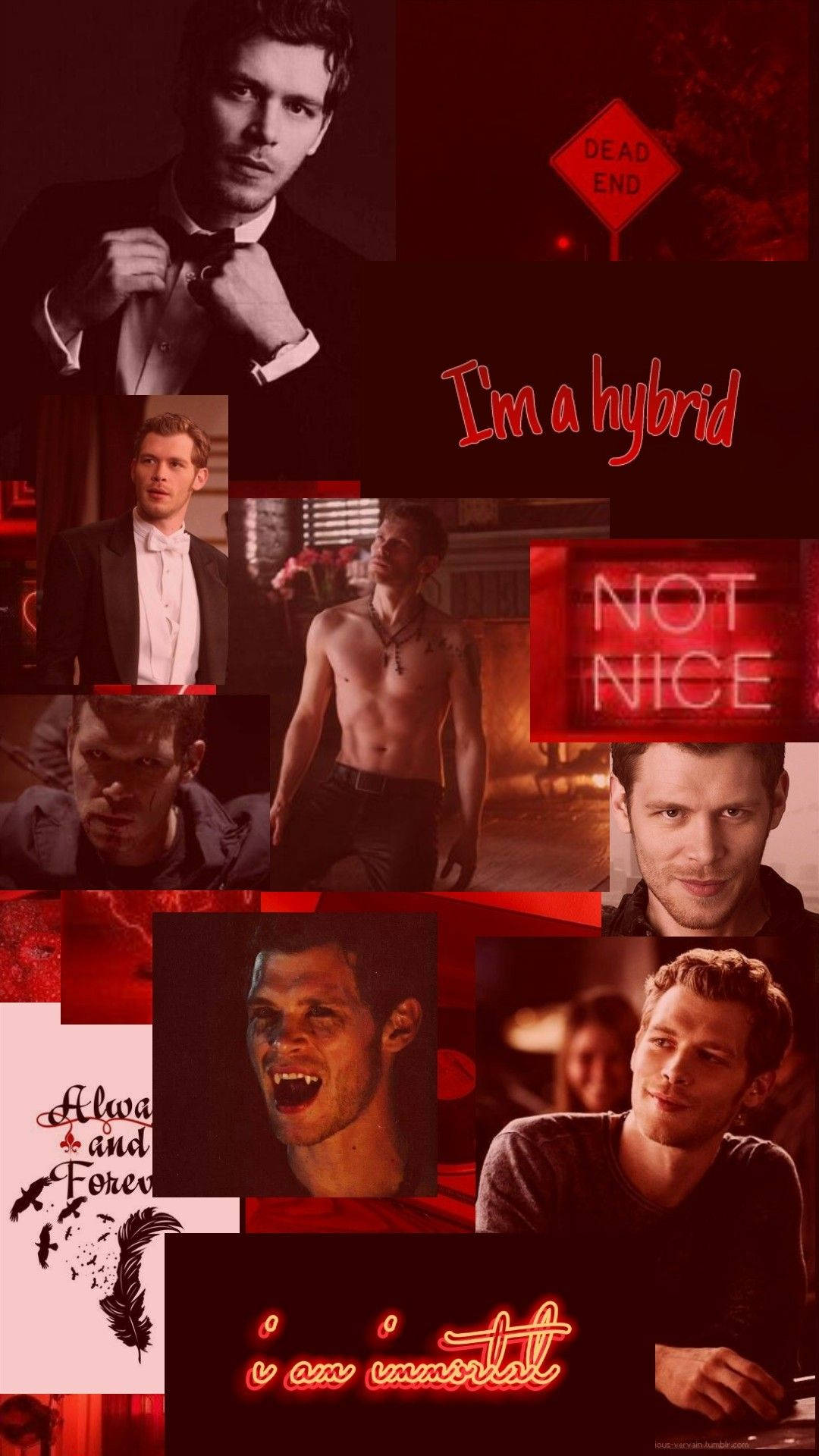 Elijah Mikaelson Wallpaper
