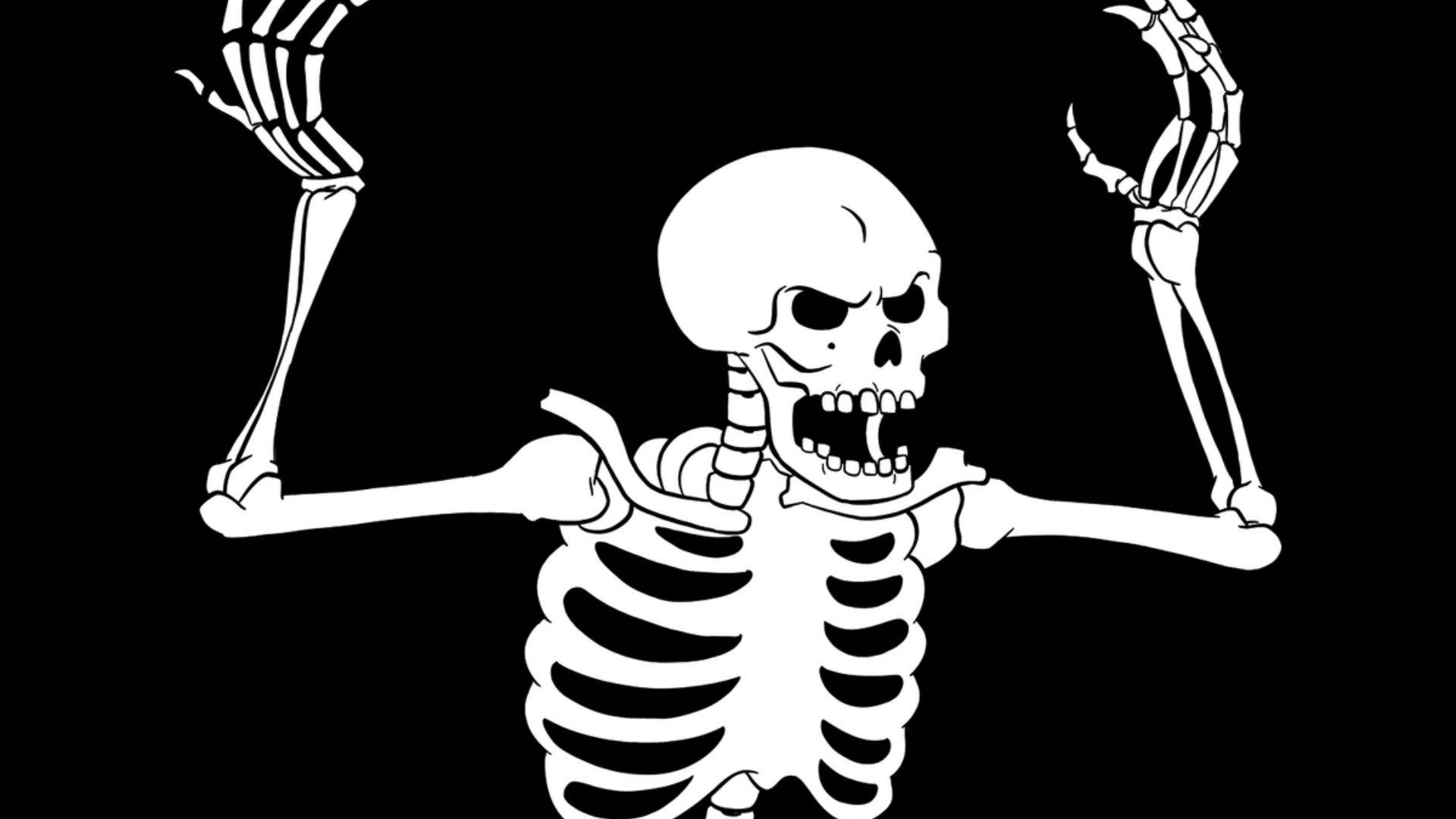 Skeleton Meme Wallpaper