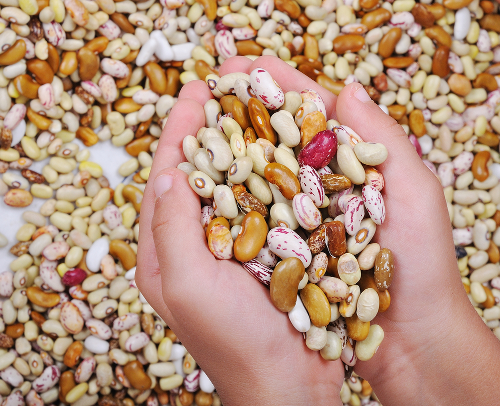 Organic Dried Beans