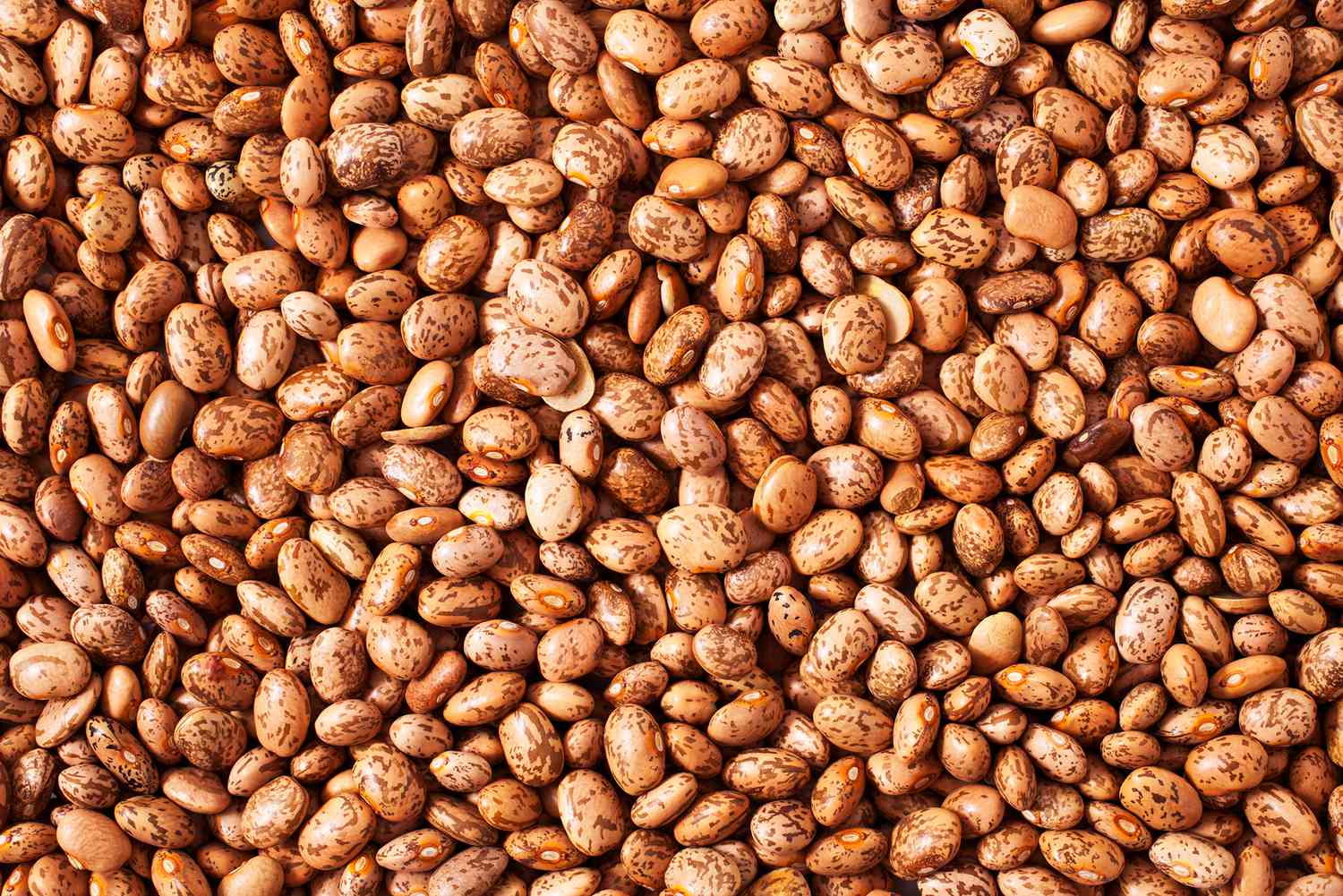 Are Pinto Beans Good for You?