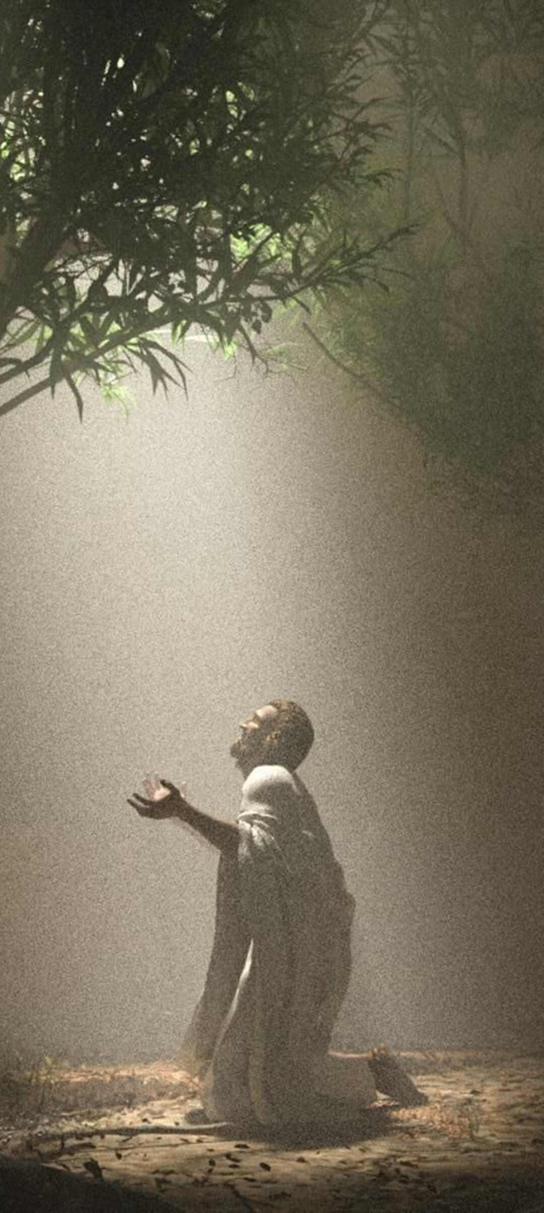 Jesus Pleading To God at The Mount