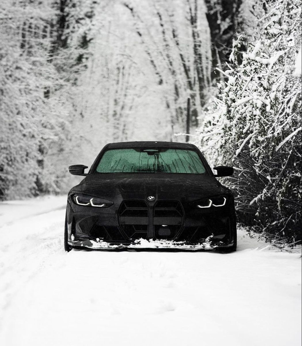 Blacked out in the snow ❄️