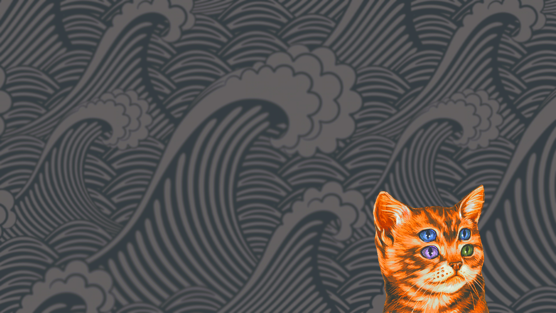 four eyed cat [1920x1080]